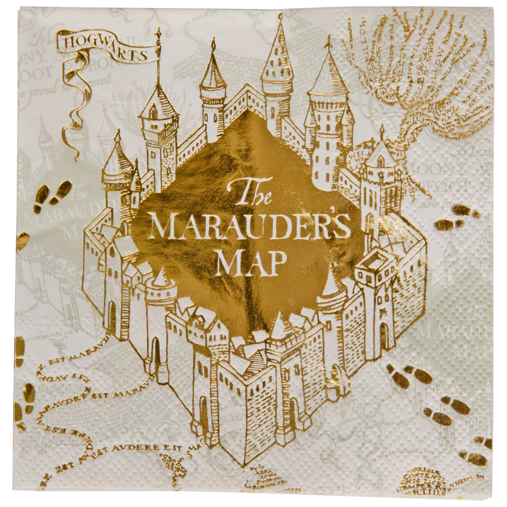 Harry Potter Mischief Managed 10 in Napkins 40 Ct, Multi-Color