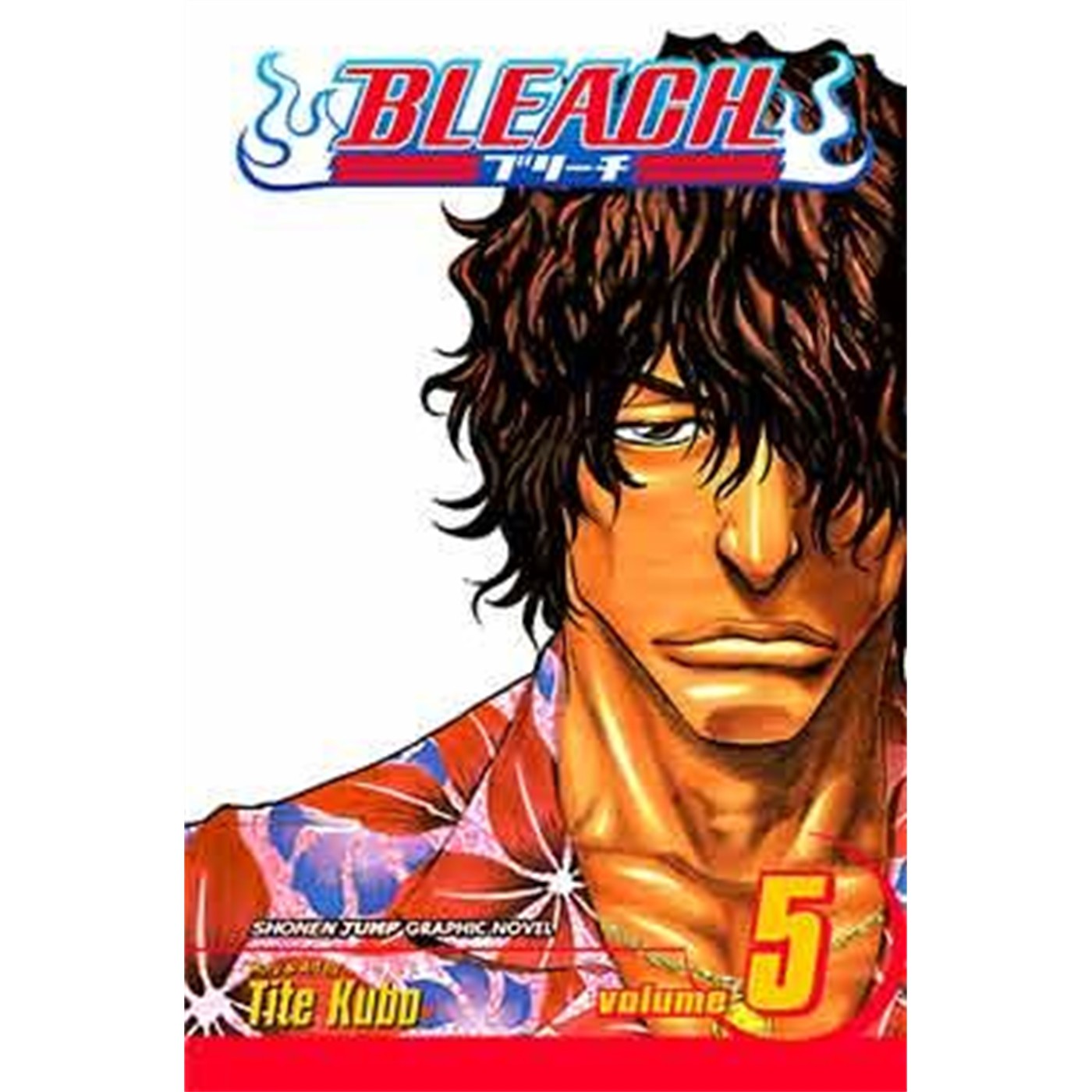 Bleach  Vol. 5