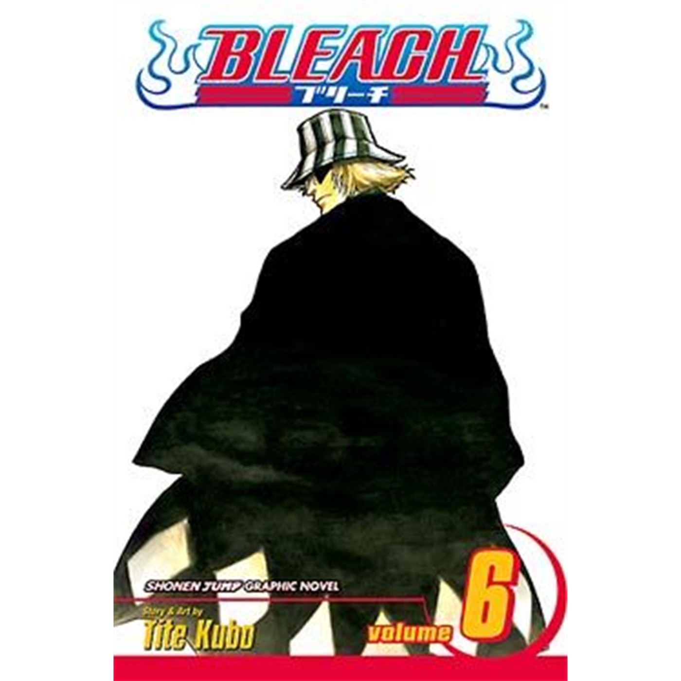 Bleach  Vol. 6
