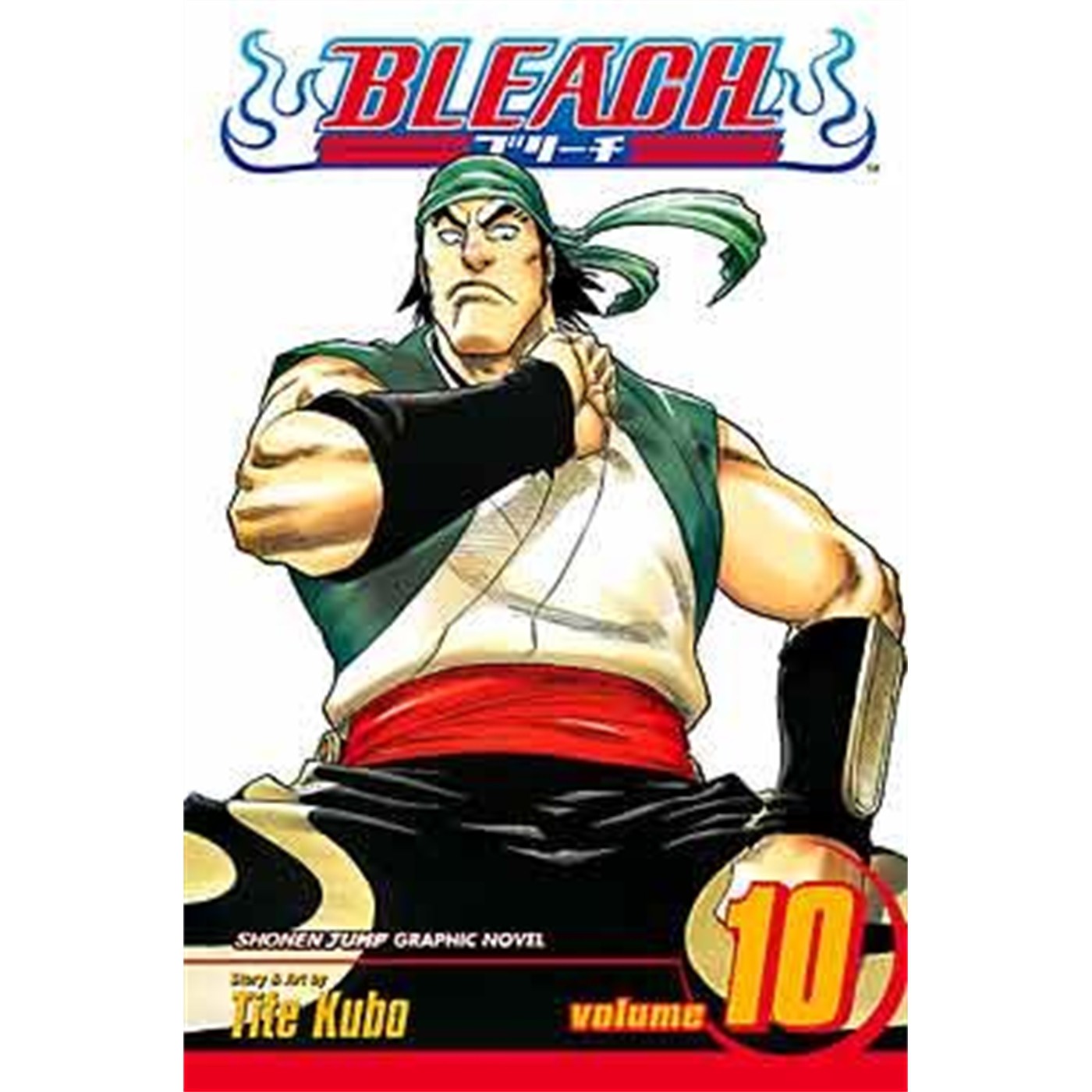 Bleach  Vol. 10