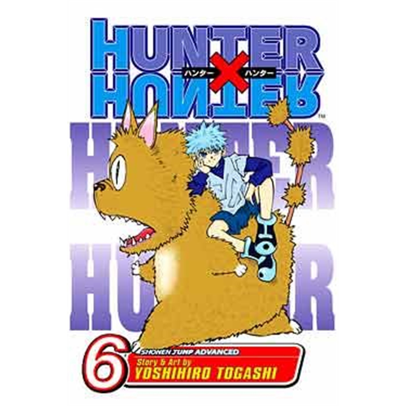Hunter x Hunter  Vol. 6