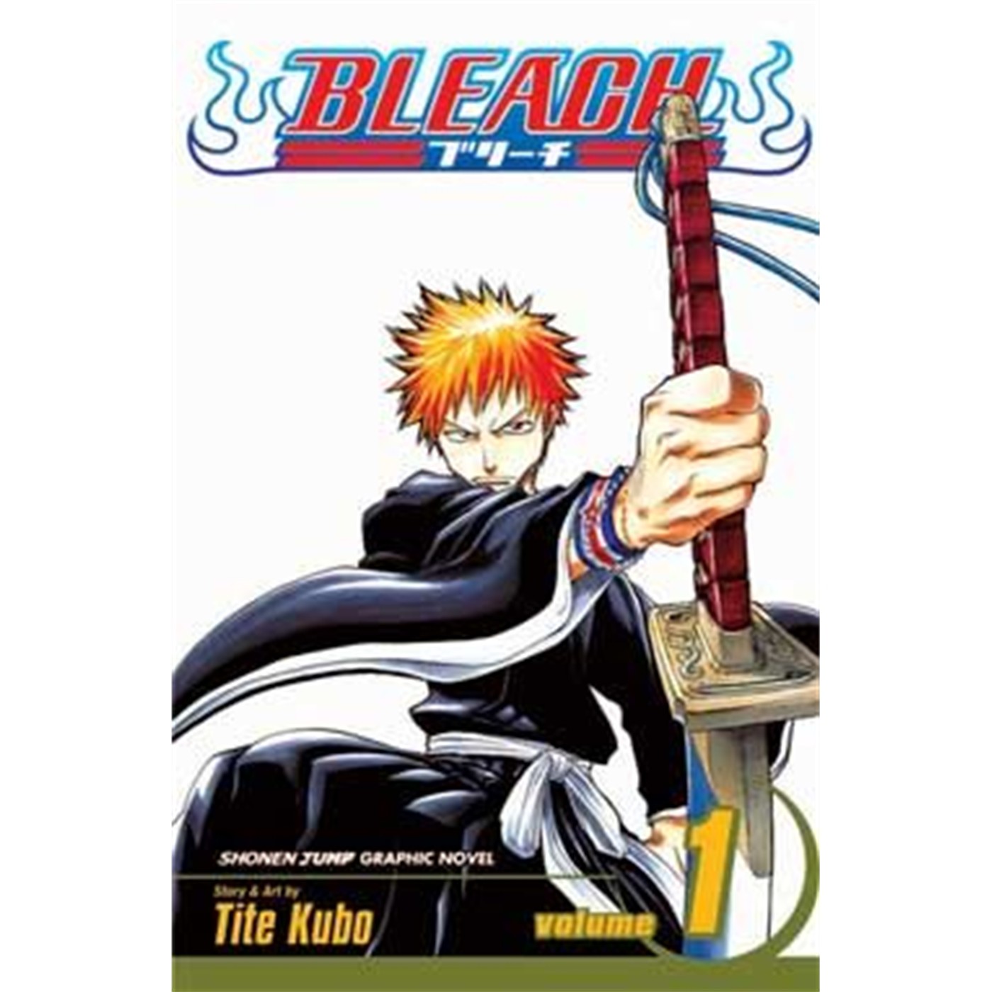 Bleach  Vol. 1