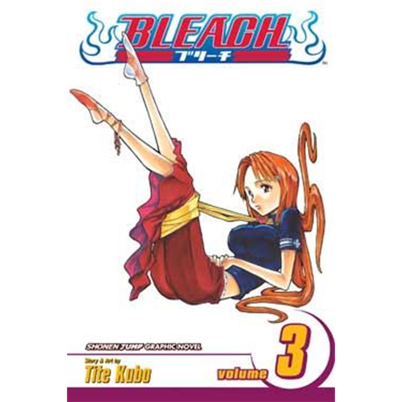 Bleach  Vol. 3
