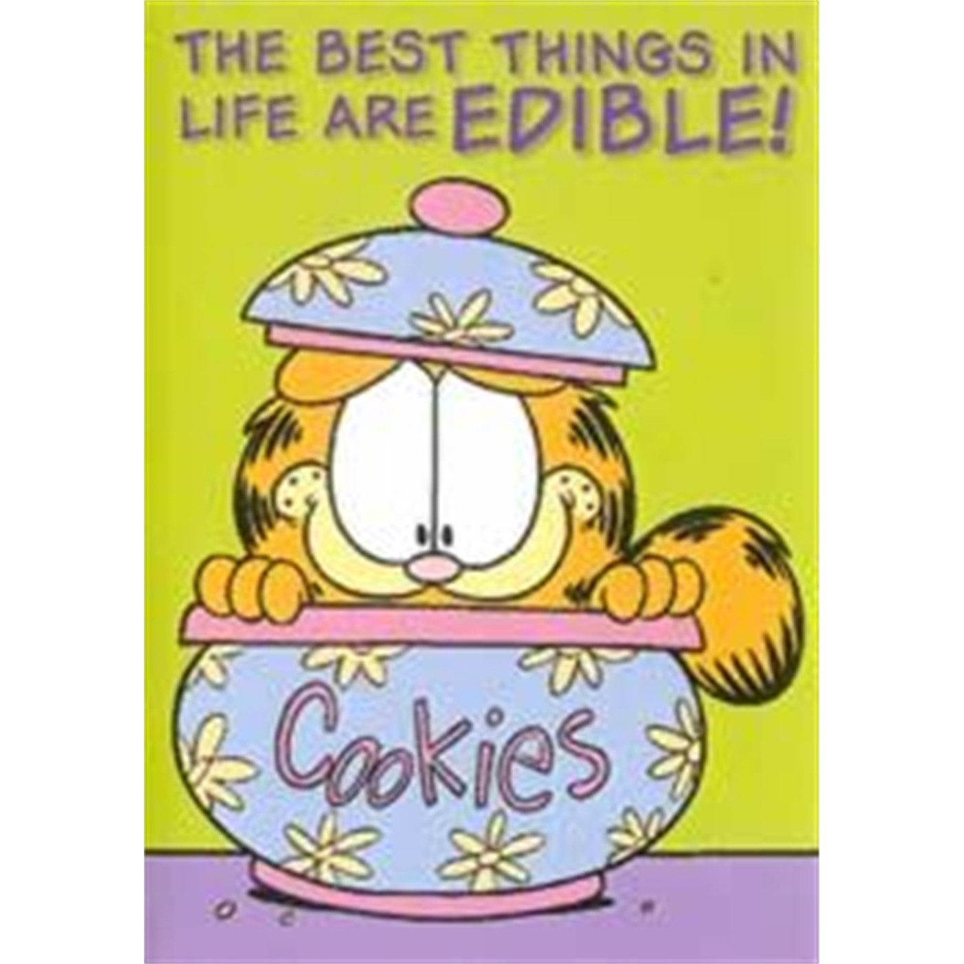 Garfield Magnet: Best Things