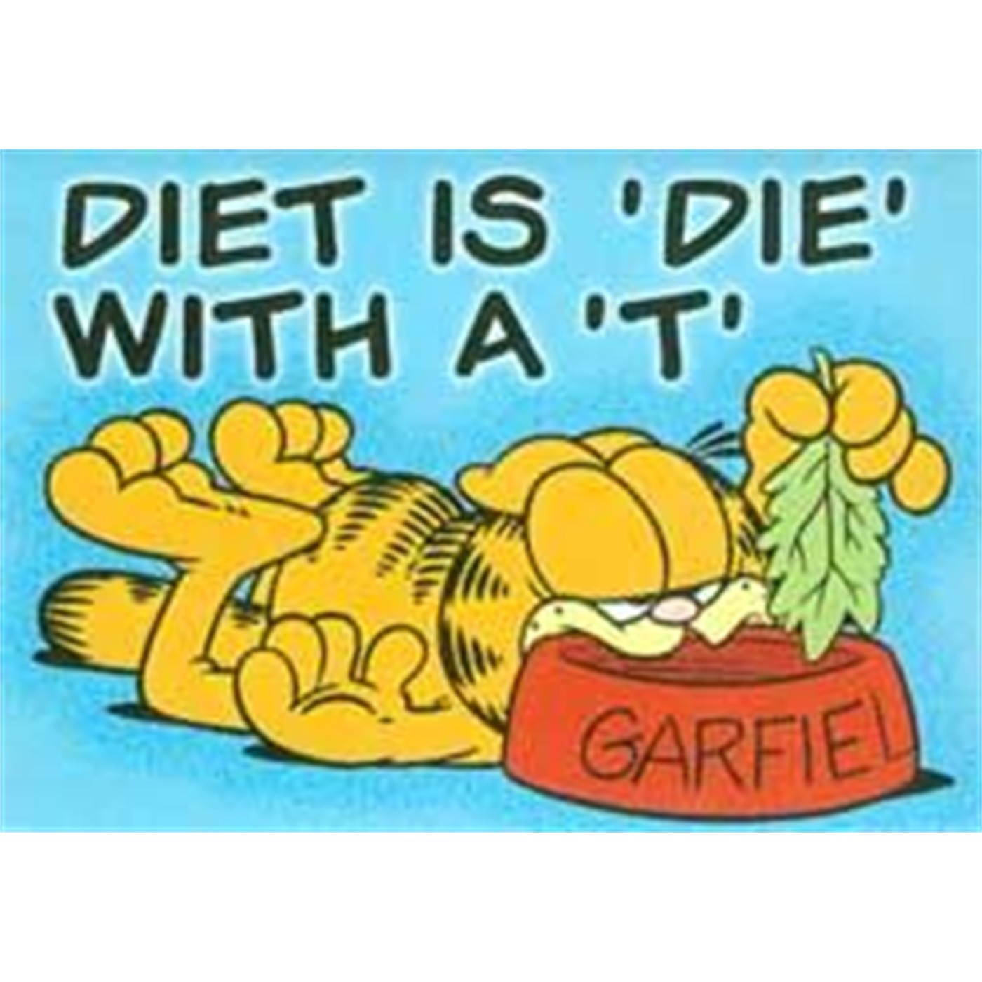 Garfield Magnet: Diet