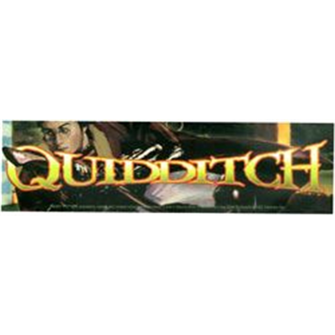 Harry Potter Sticker: Quidditch