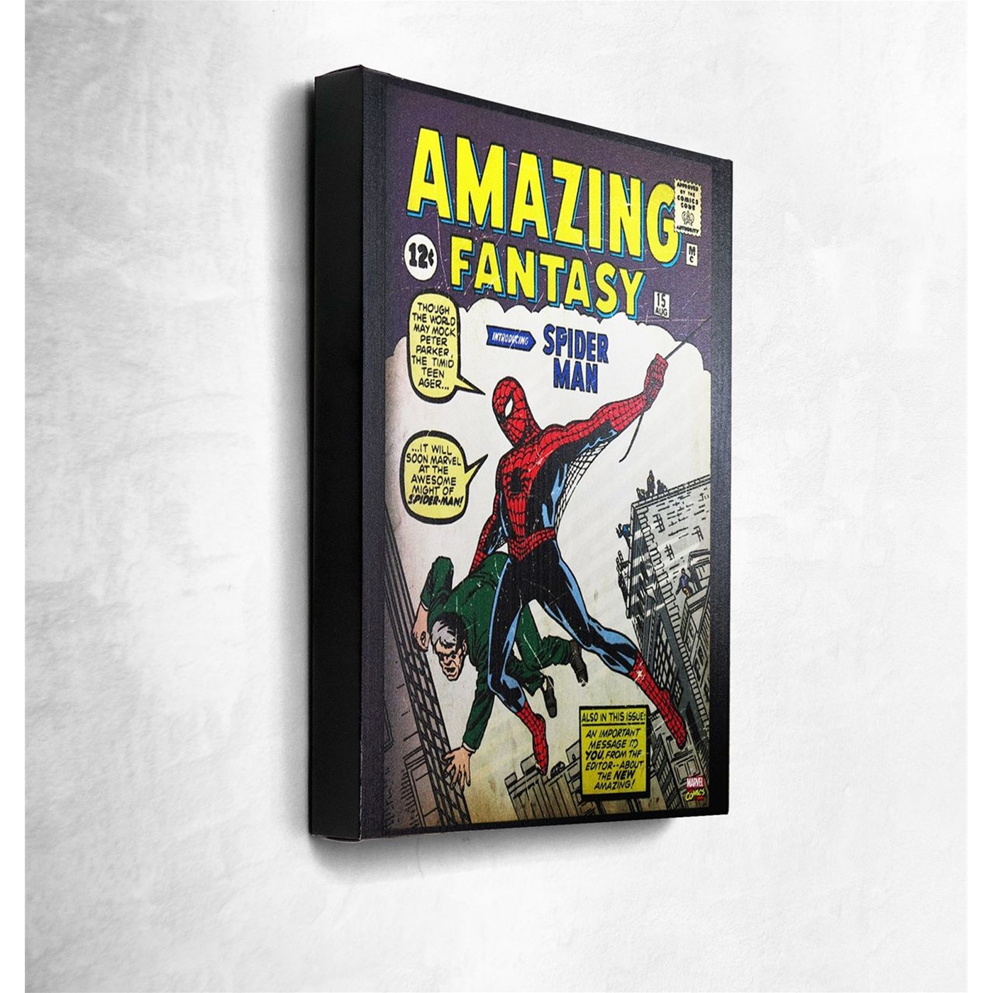 Spiderman Amazing Fantasy Artwork Canvas, White