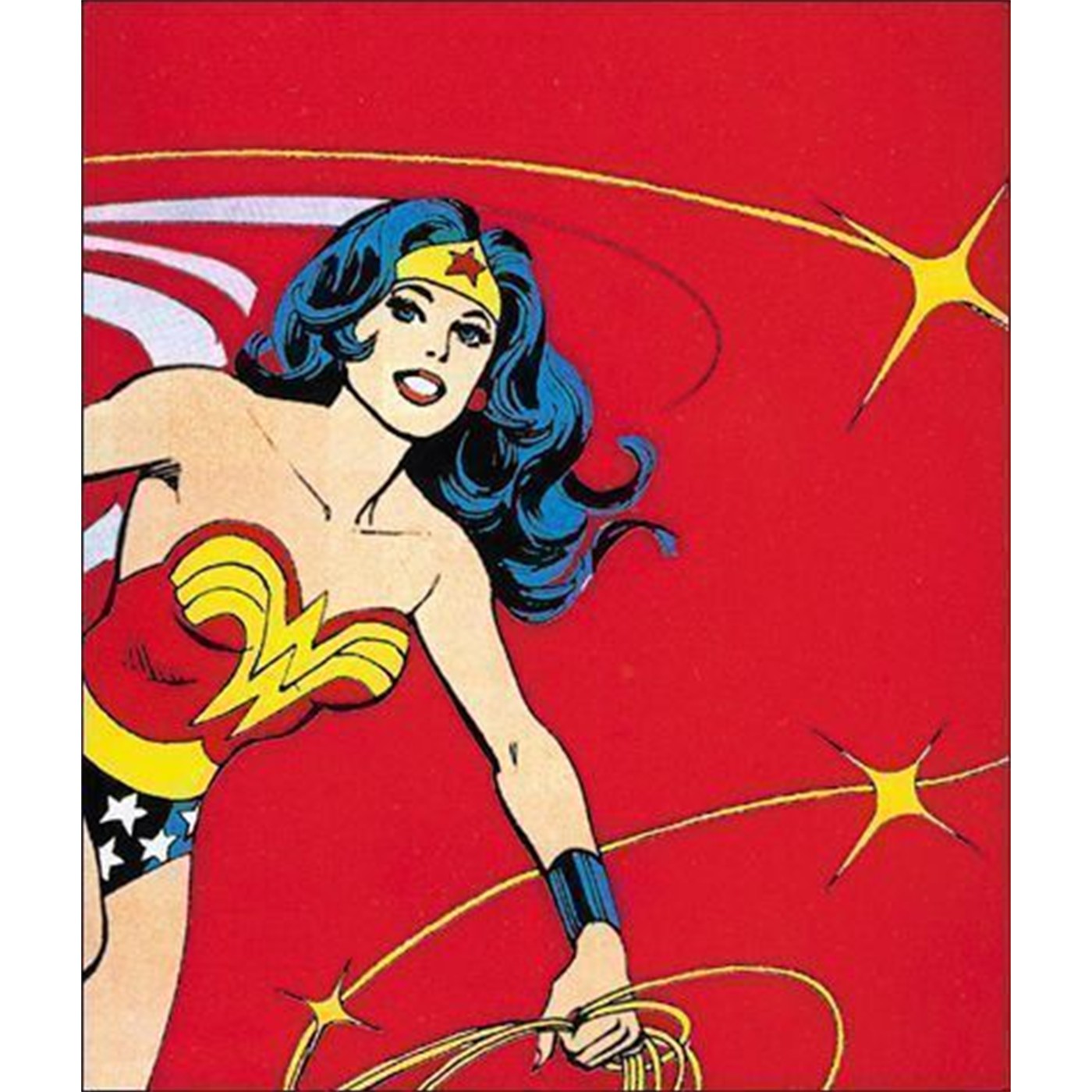 Wonder Woman Vinyl Journal