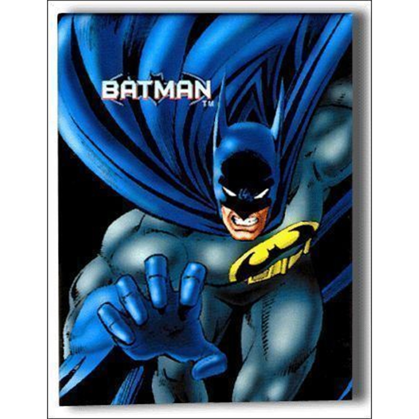 Batman Magnet Blue Claw