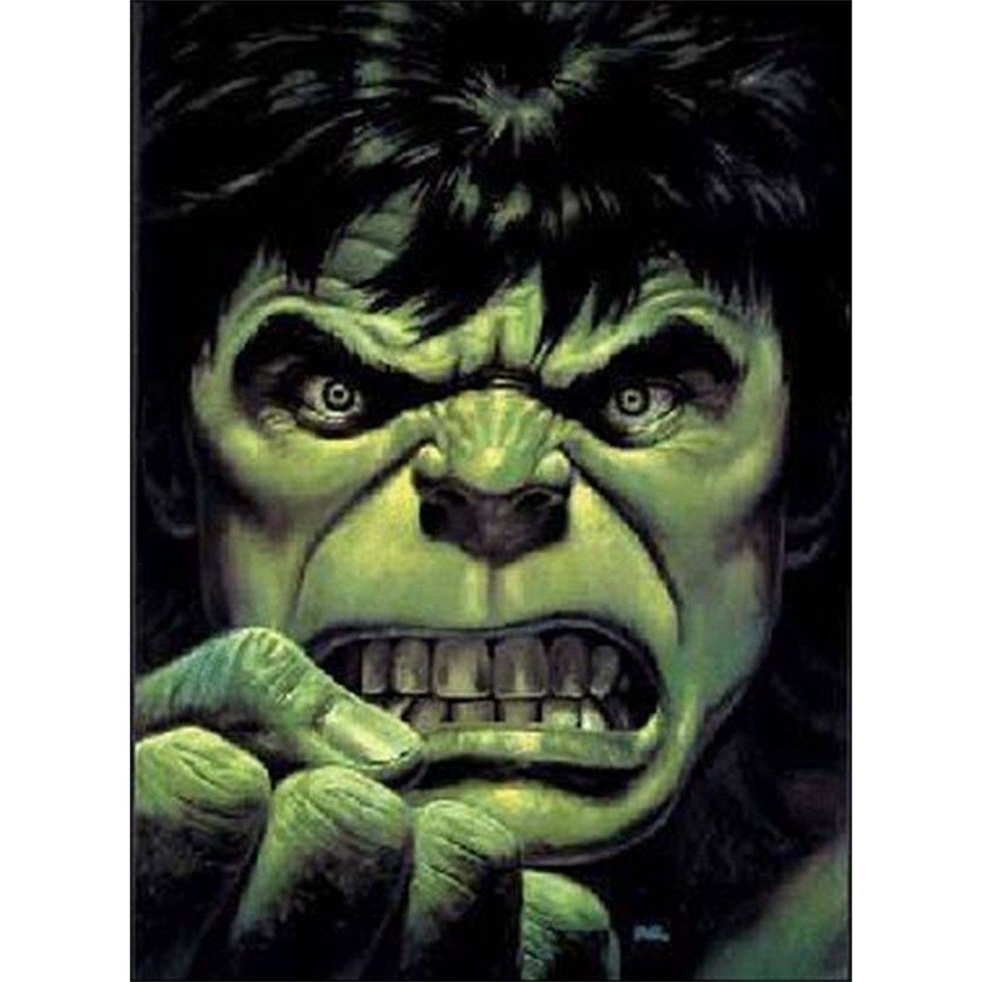 The HULK Magnet Fist Face