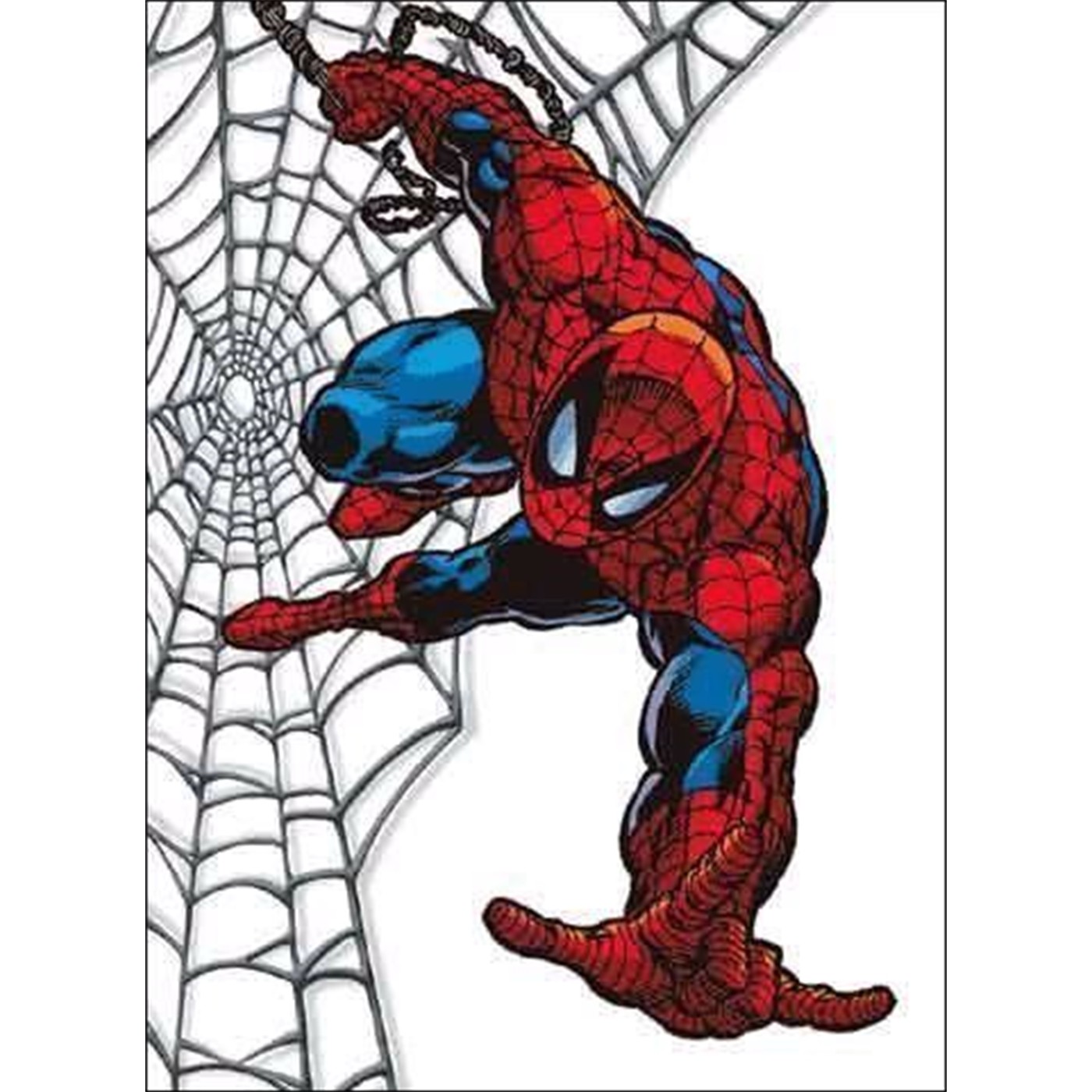 Spiderman Magnet Webs