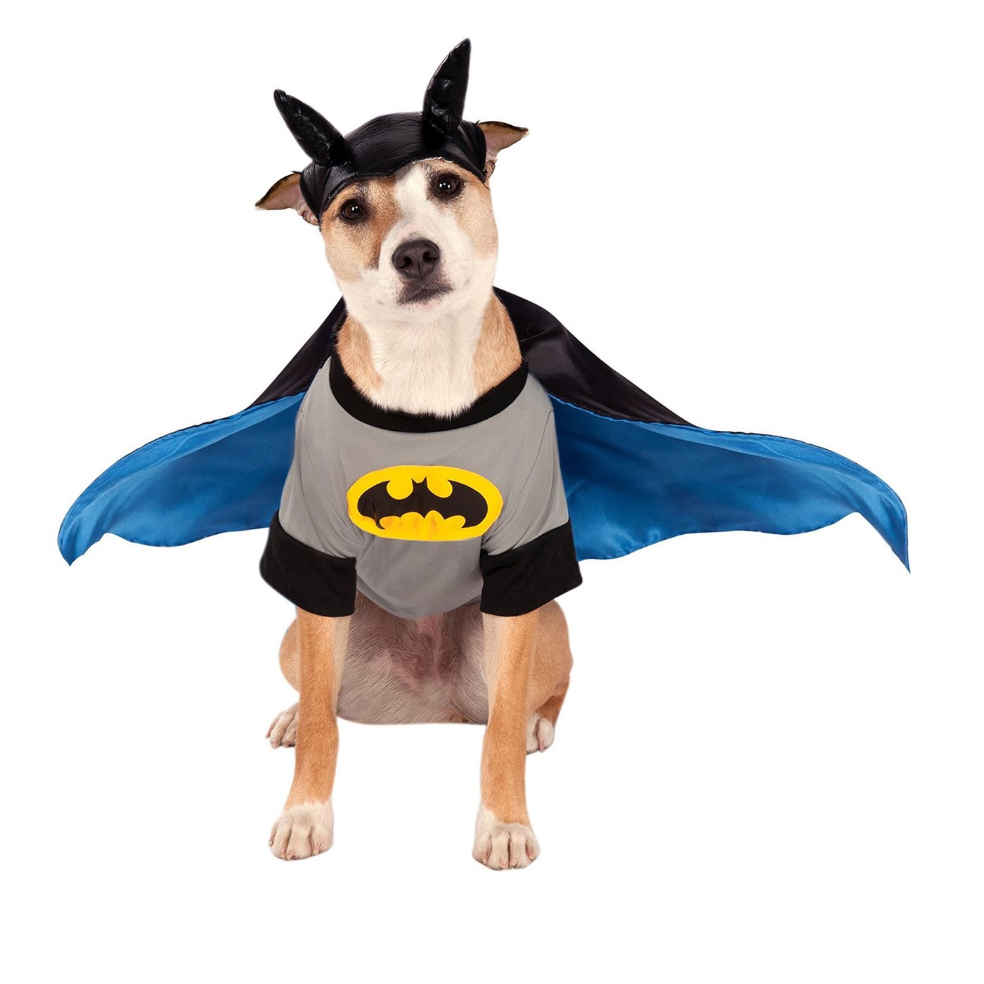 Batman Pet Costume, Grey