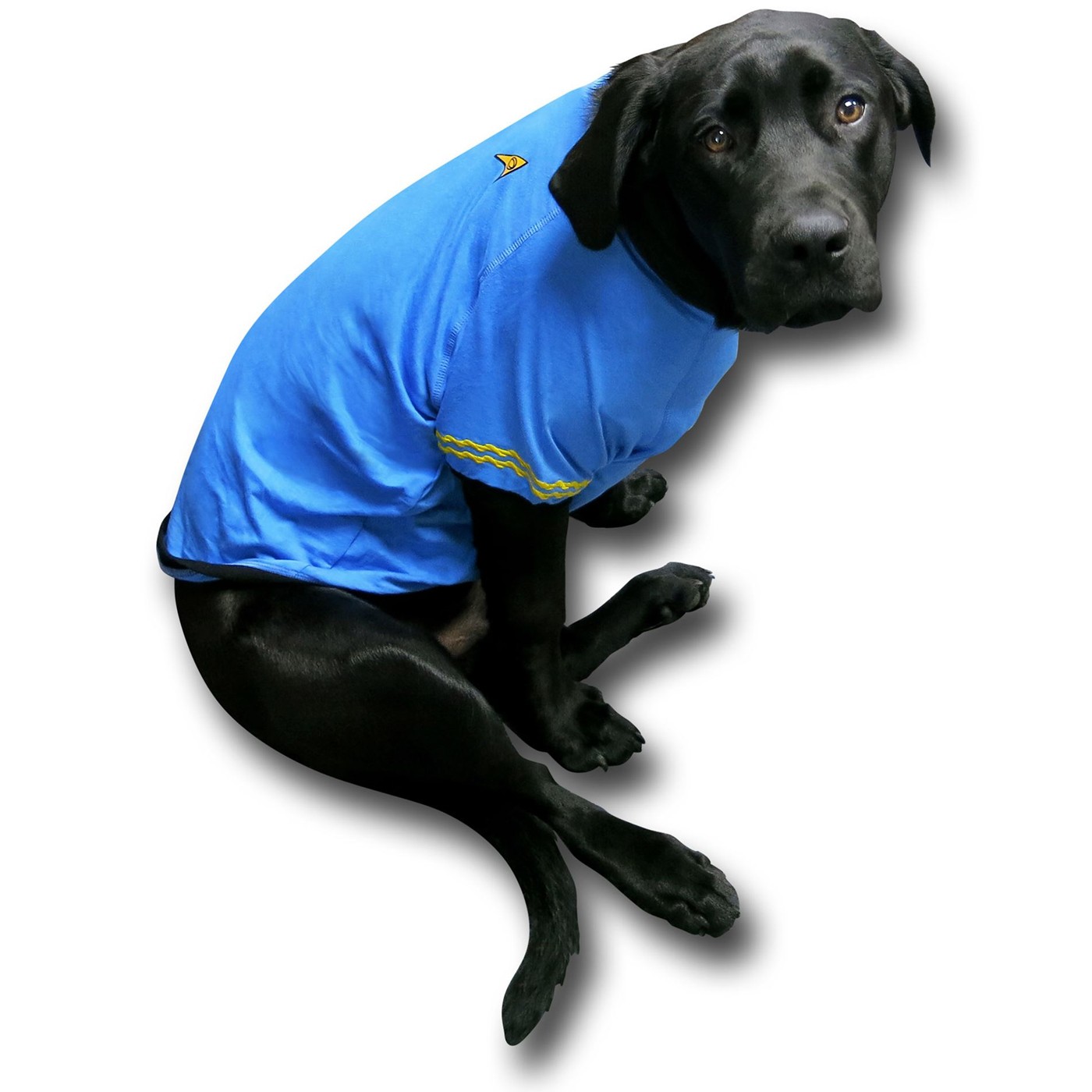 Star Trek Science Uniform Dog Shirt, Blue