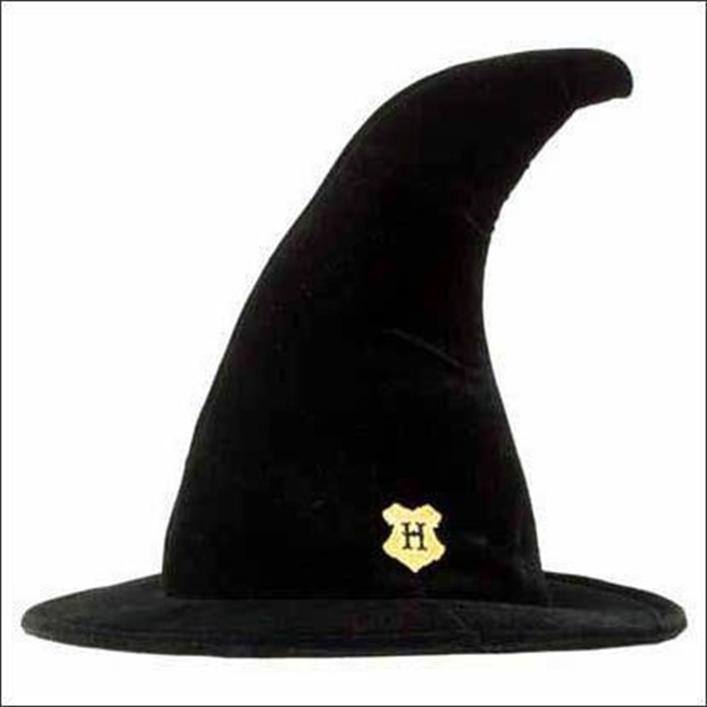 Harry Potter Student Hat