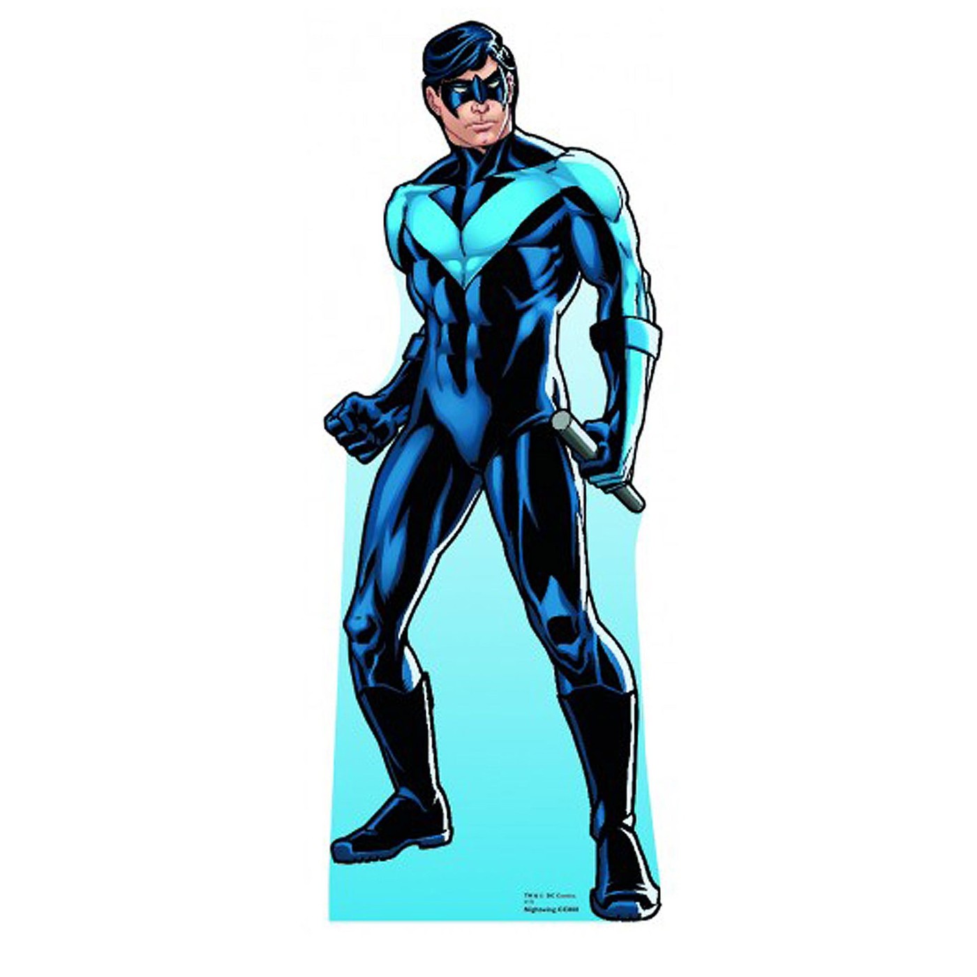 Nightwing Cardboard Cutout, Black