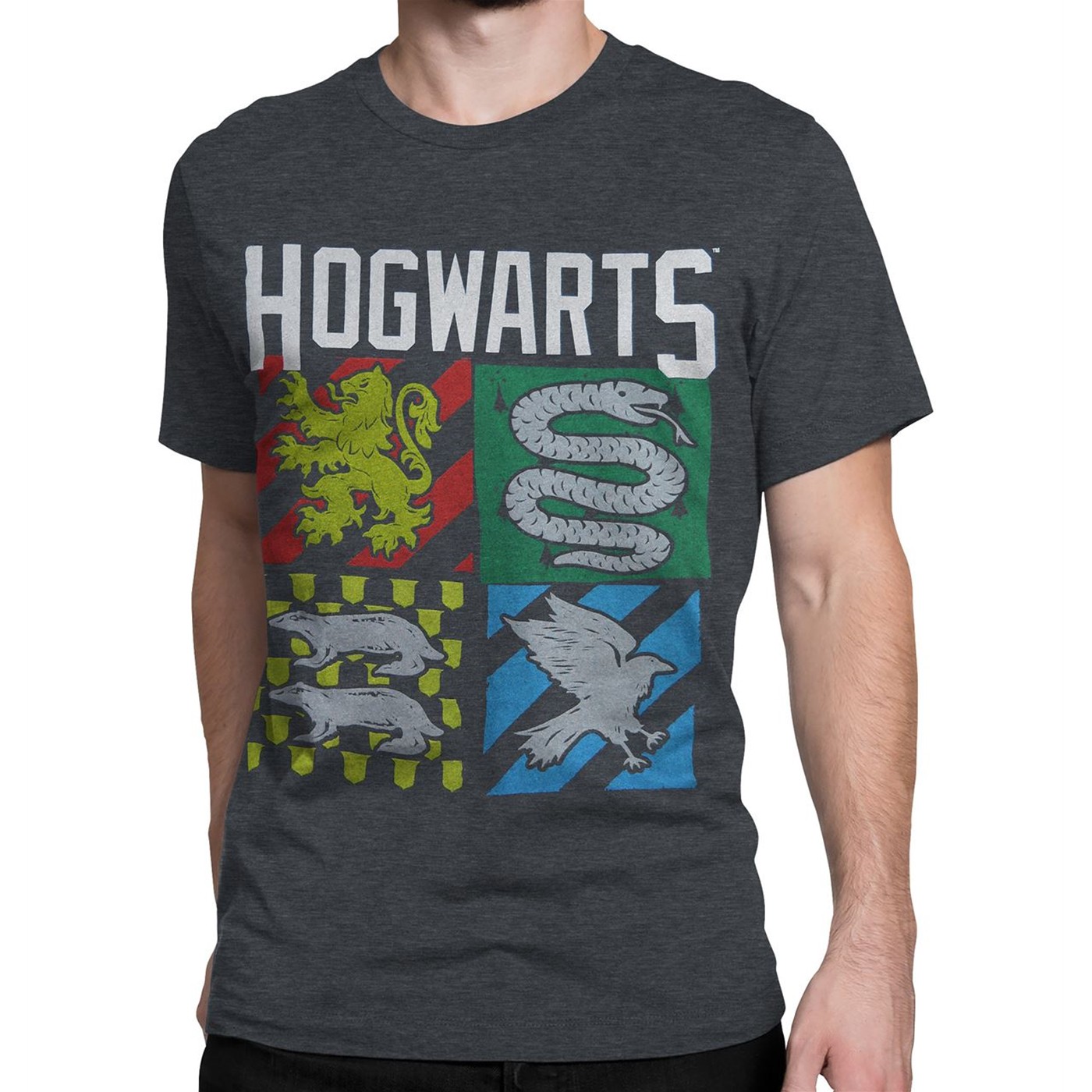 Harry Potter Hogwarts Men's T-Shirt, Grey