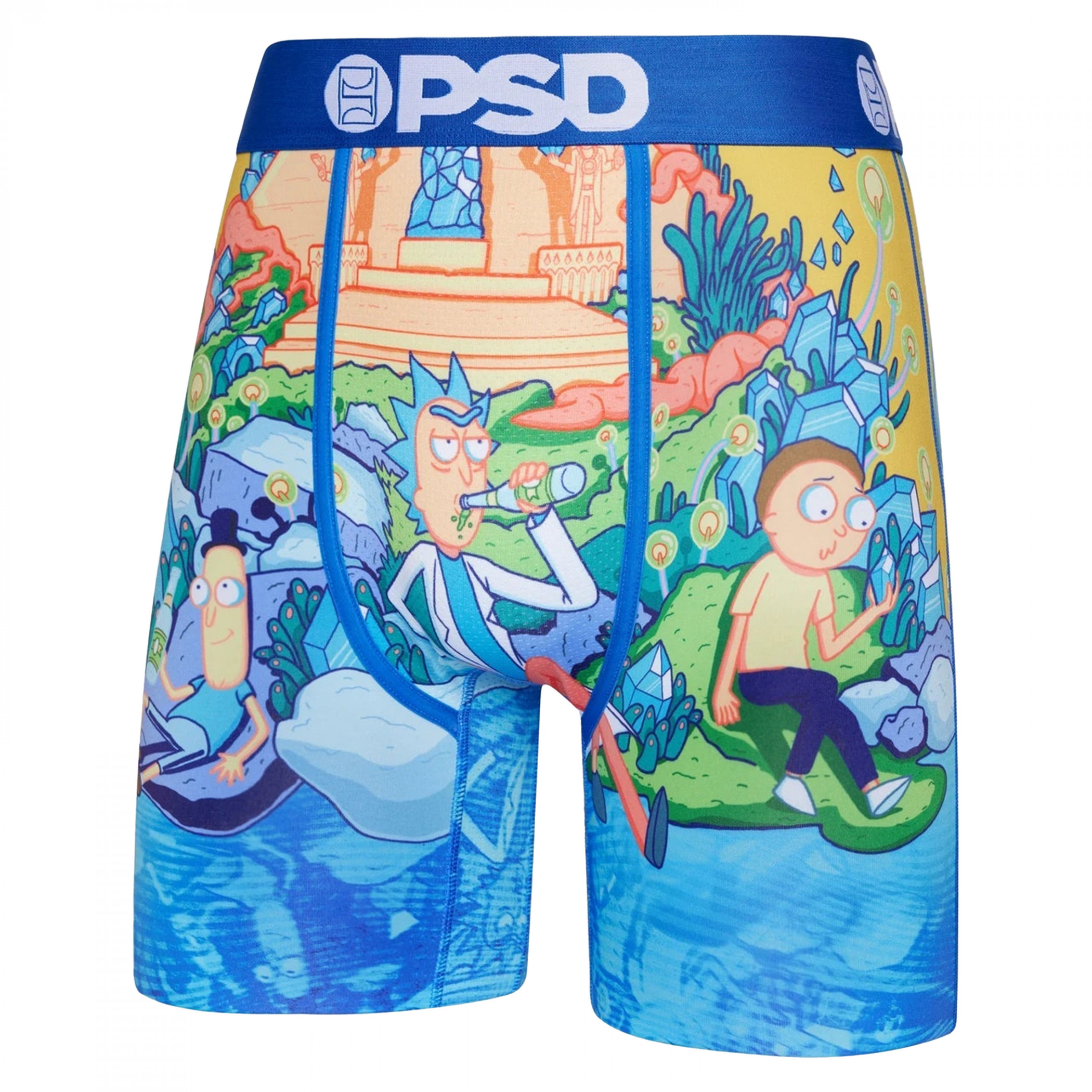 PSD x Rick And Morty Come Get Some Blue Boxer Briefs