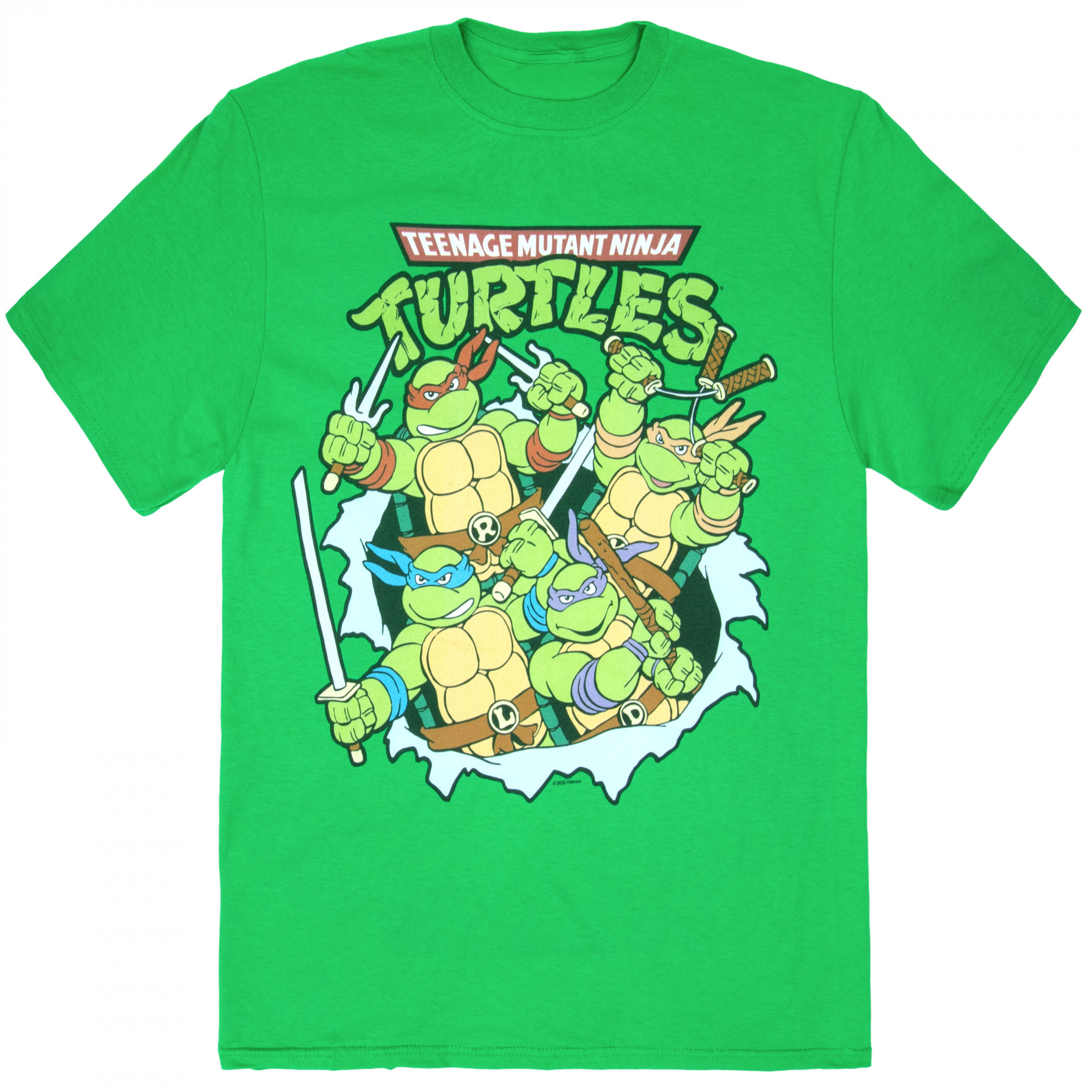 Teenage Mutant Ninja Turtles Retro Tear Through T-Shirt, Green
