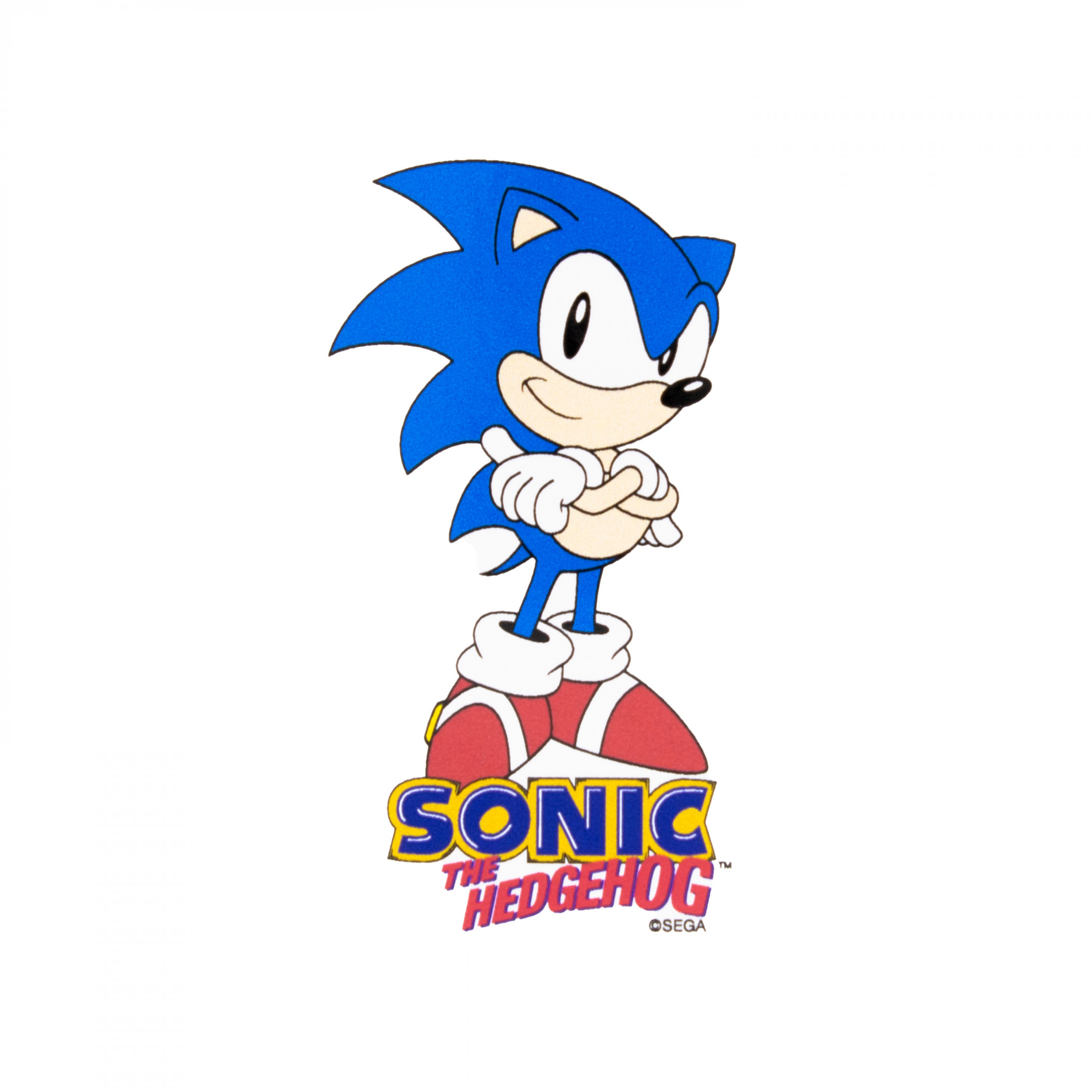 Sonic the Hedgehog Crossed Arms Vinyl Sticker, Multi-Color