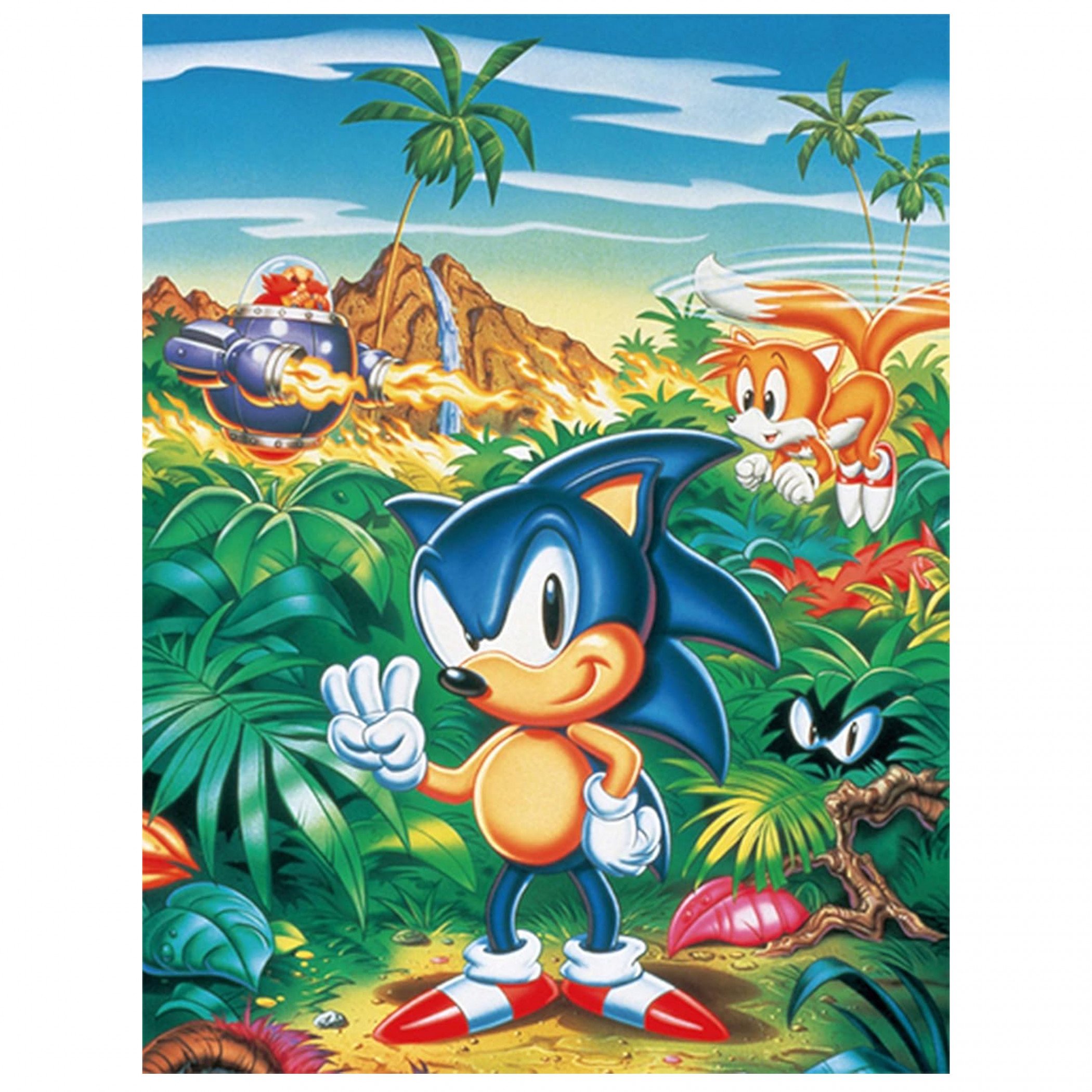 Sonic the Hedgehog and Friends on Island Throw Blanket, Multi-Color