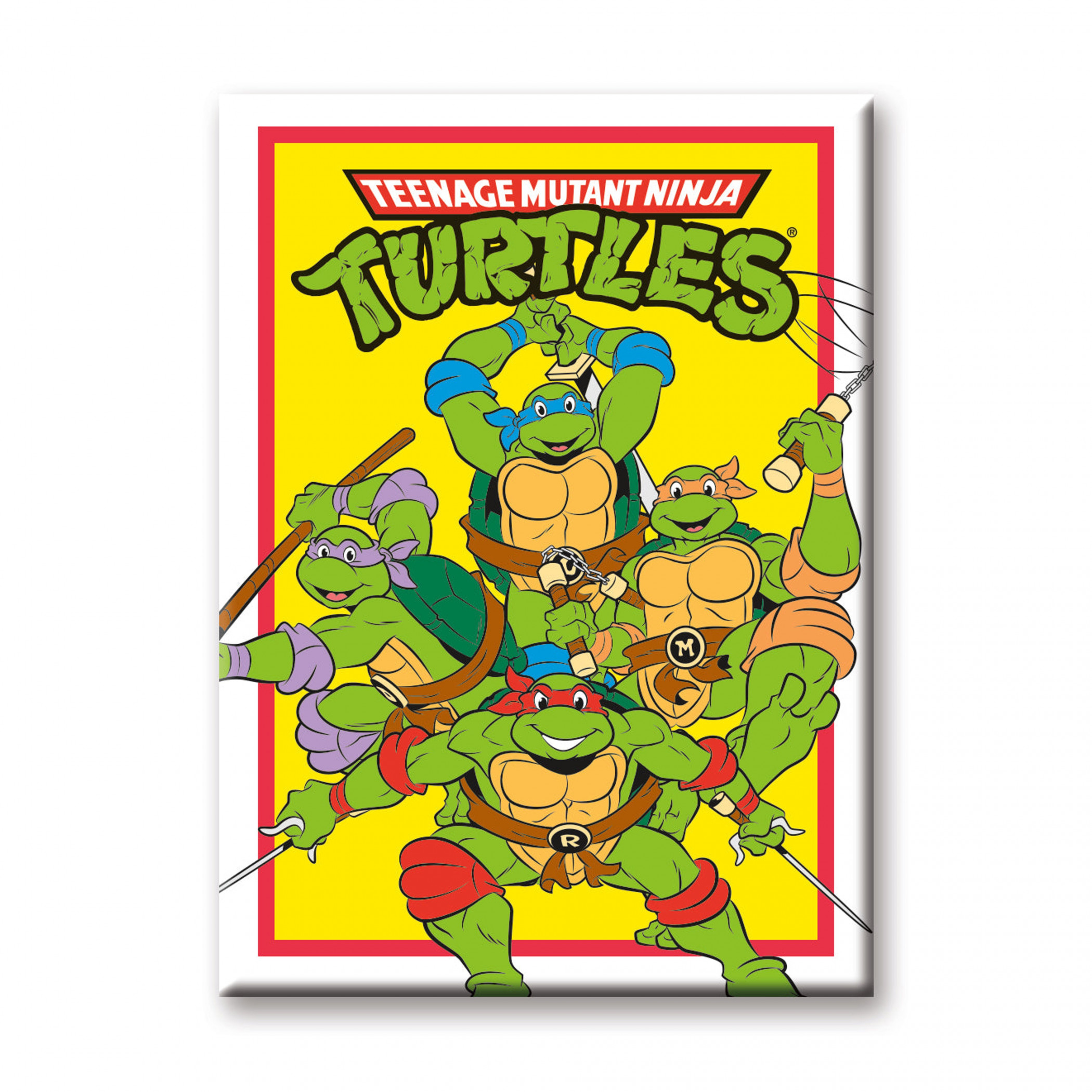 Teenage Mutant Ninja Turtles Group Fight Stance Magnet, Multi-Color