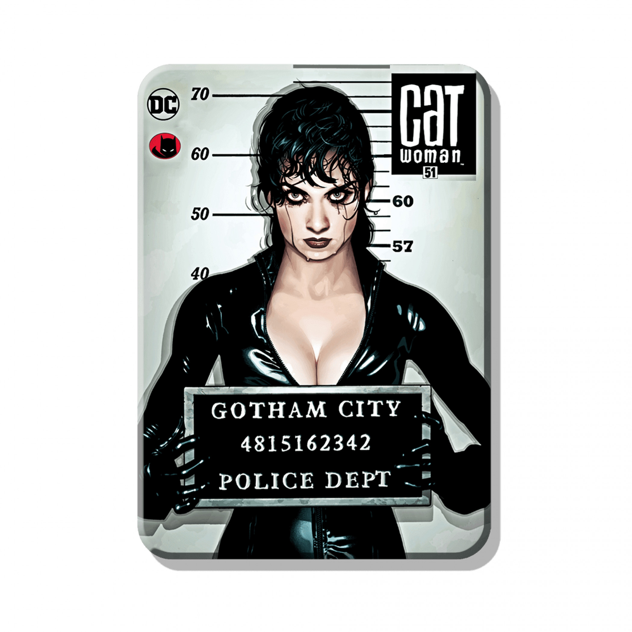 Catwoman Gotham City Police Dept Mugshot Magnet, Multi-Color