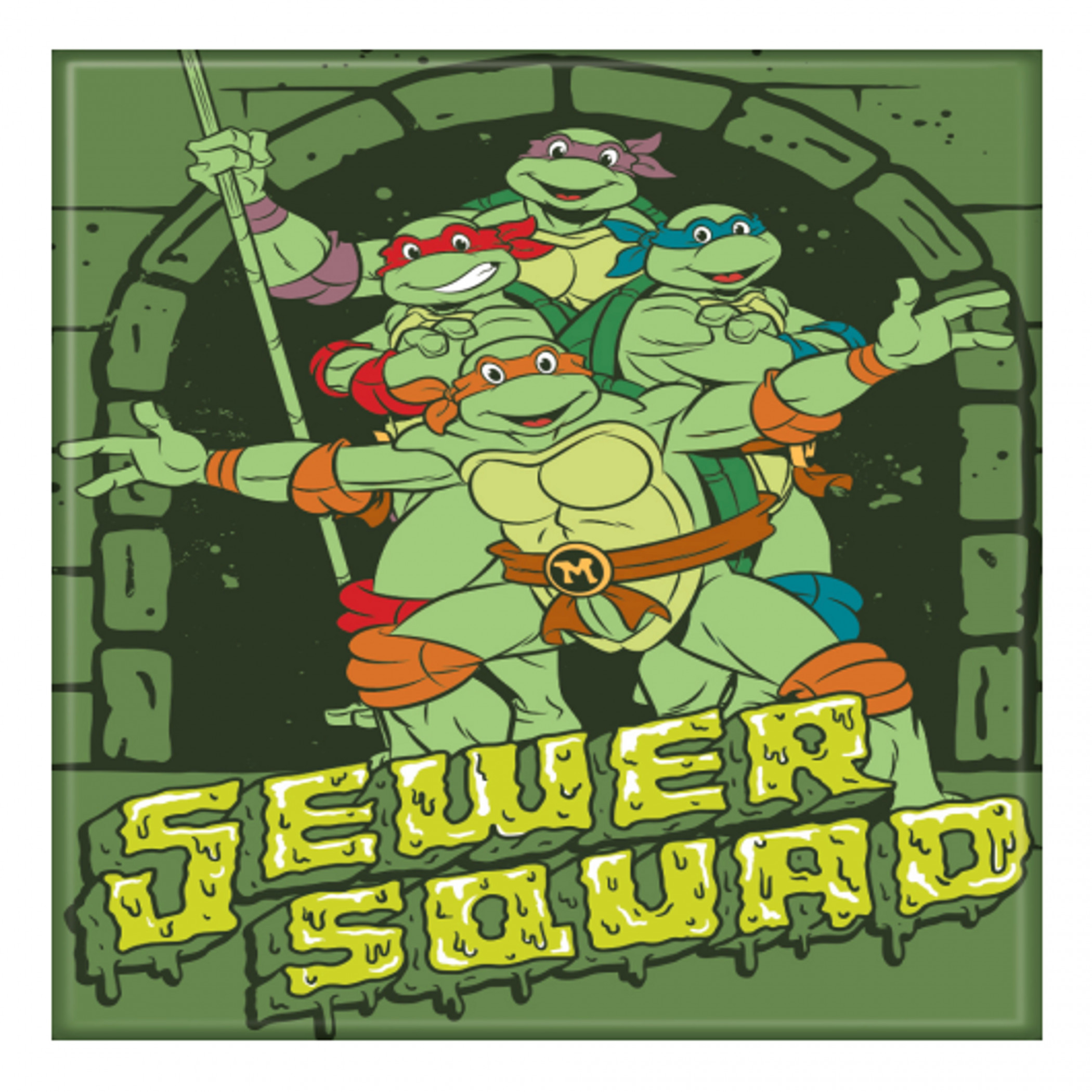 Teenage Mutant Ninja Turtles Sewer Squad Magnet, Multi-Color