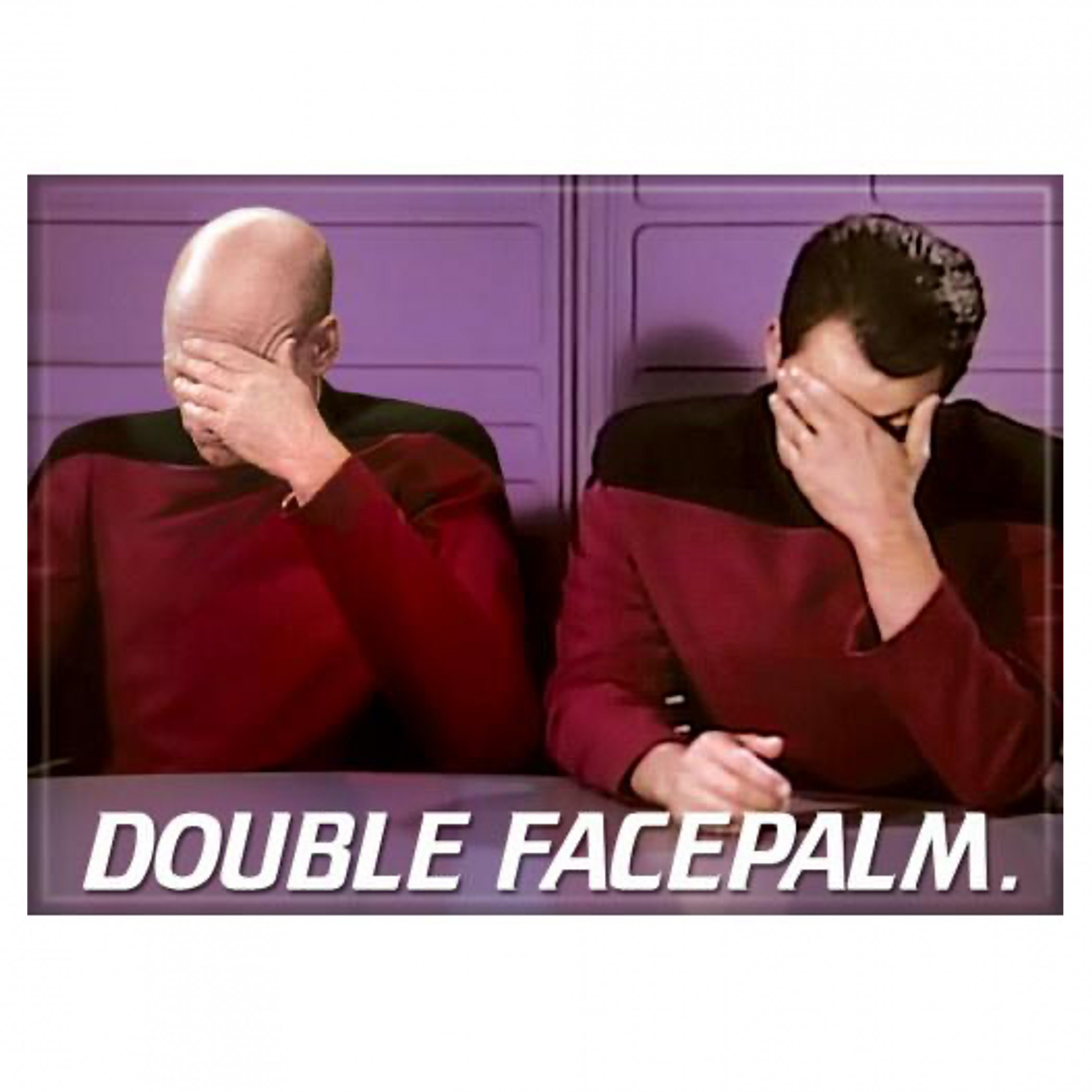 Star Trek Double Face Palm Magnet, Multi-Color