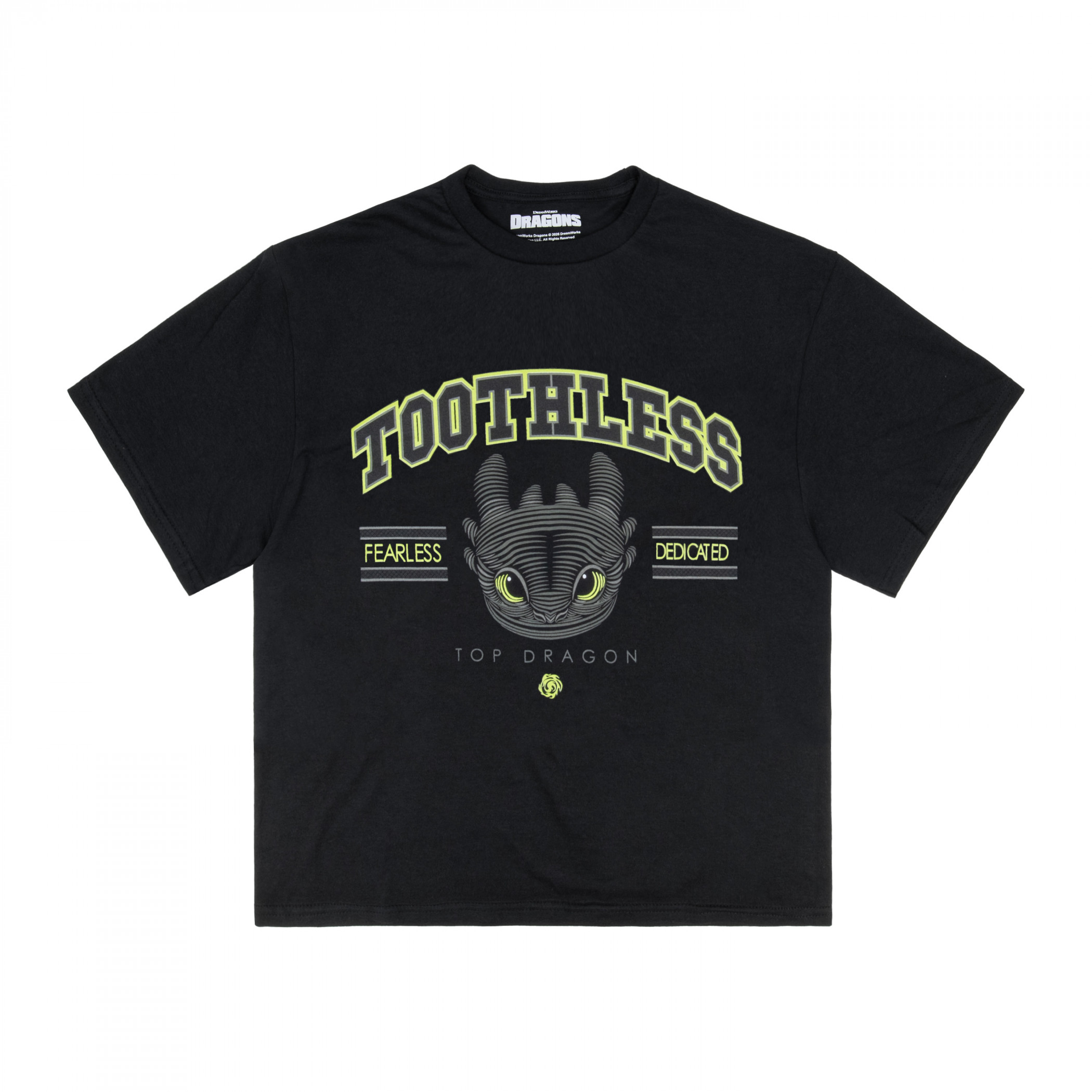 How To Train Your Dragon Toothless Youth T-Shirt, Black