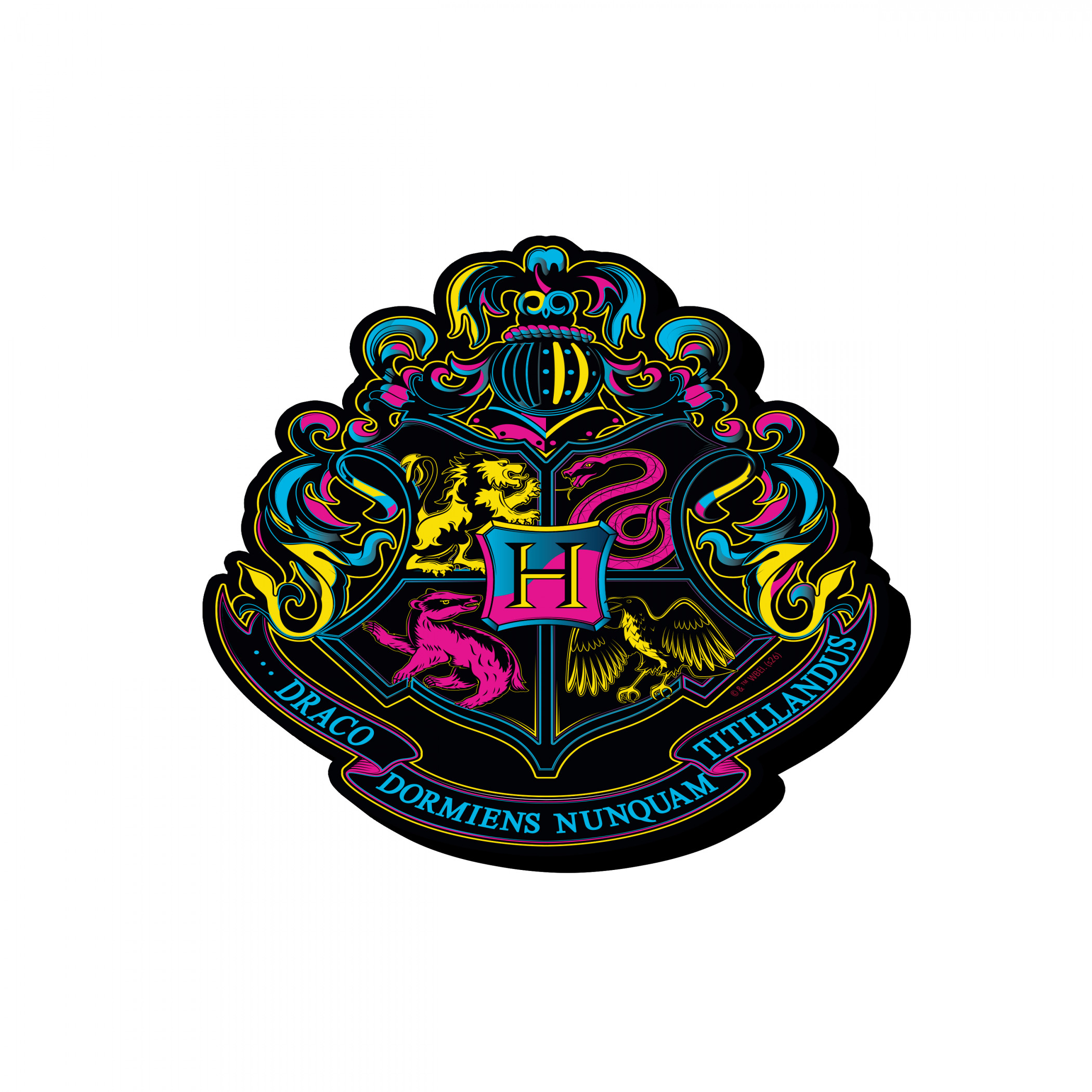 Harry Potter Neon Crest Funky Chunky Wood Magnet, Multi-Color