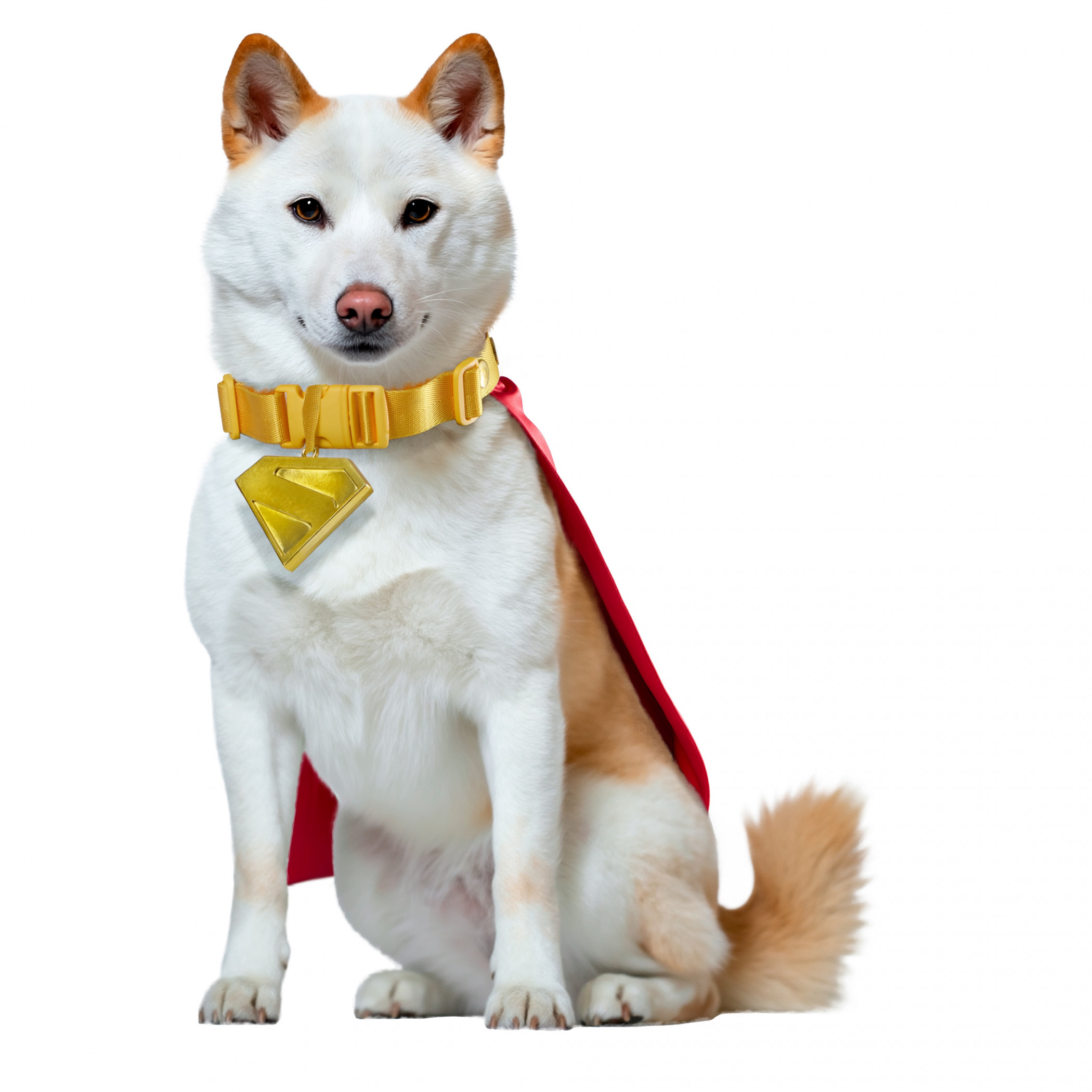 Superman Krypto Pet Cape & Collar Costume, Red