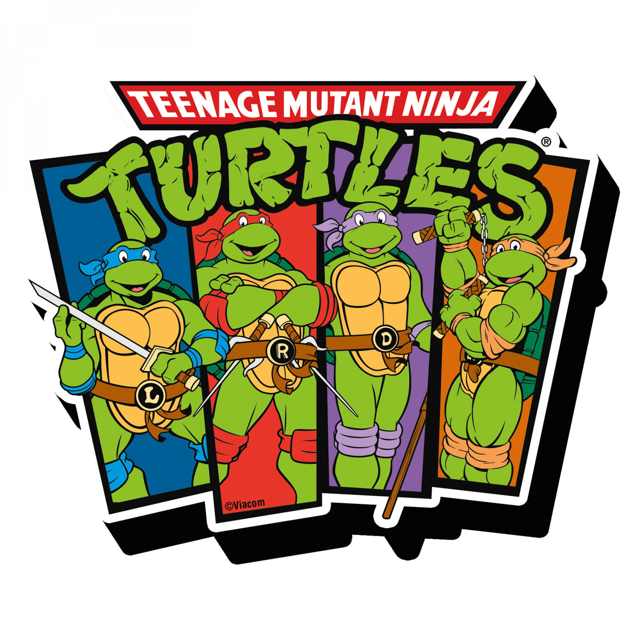 Teenage Mutant Ninja Turtles TMNT Characters Magnet, Green