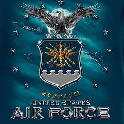 Men's Blue Long Sleeve US Air Force Eagle Crest Shirt - image 2