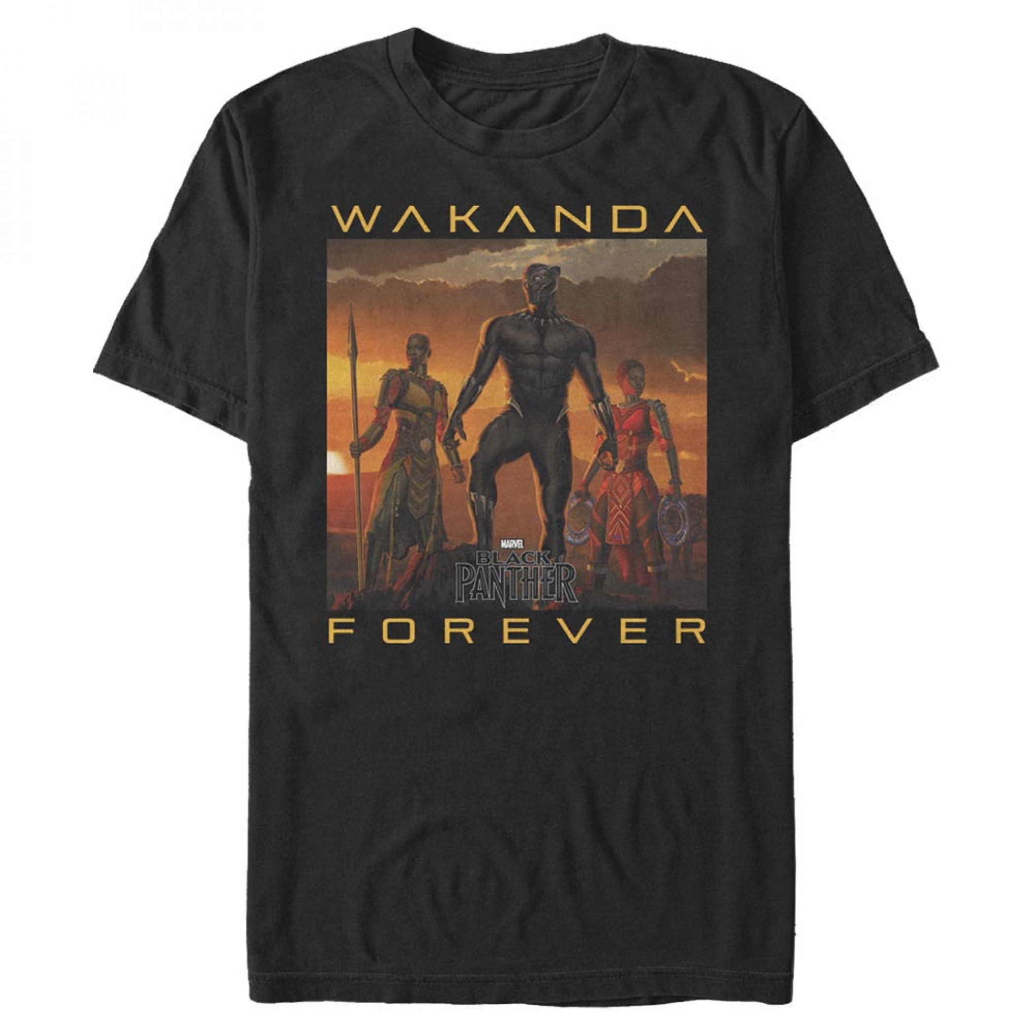 Black Panther Wakanda Forever Heroes Lineup T-Shirt, Black