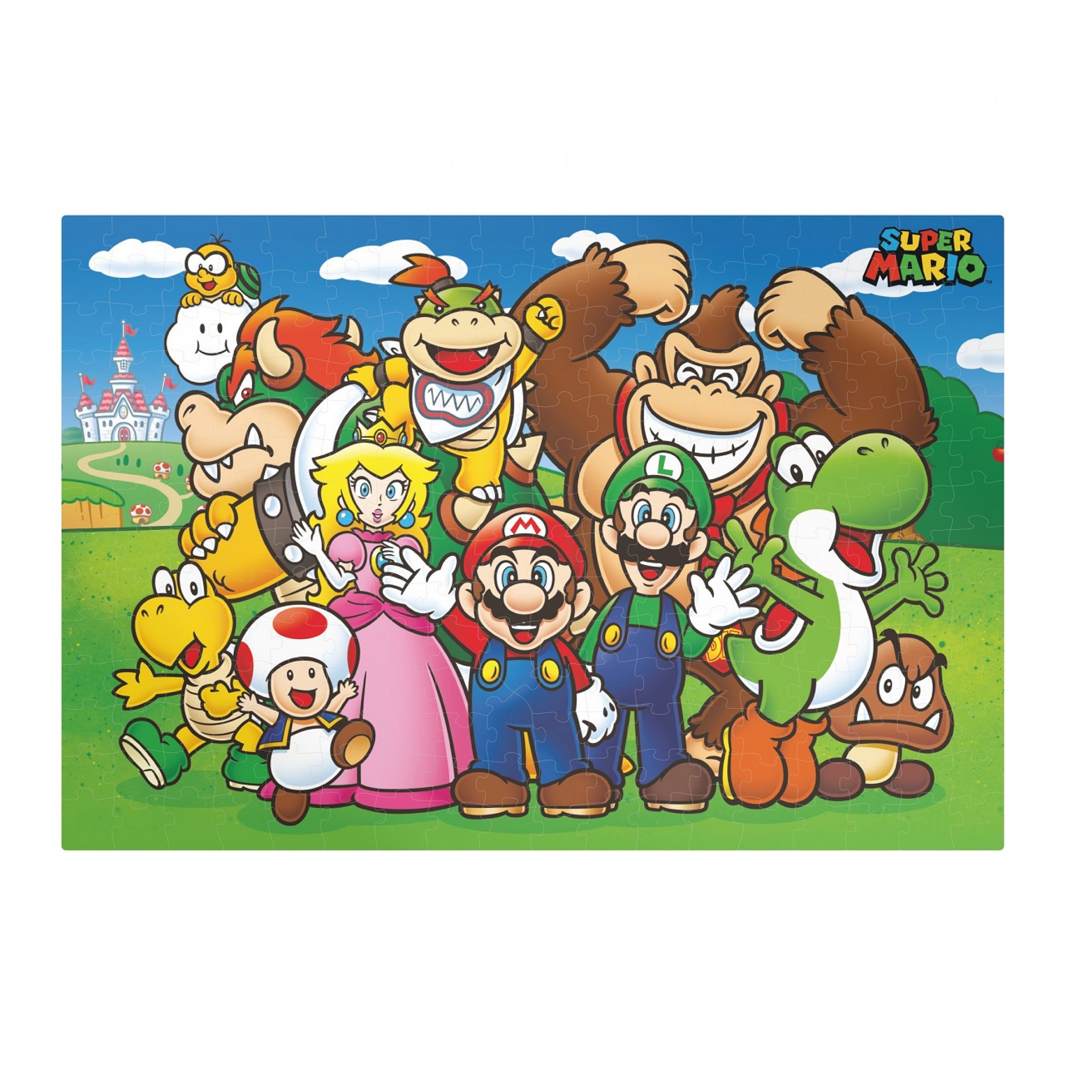 Nintendo Super Mario 250 Piece Jigsaw Puzzle, Multi-Color