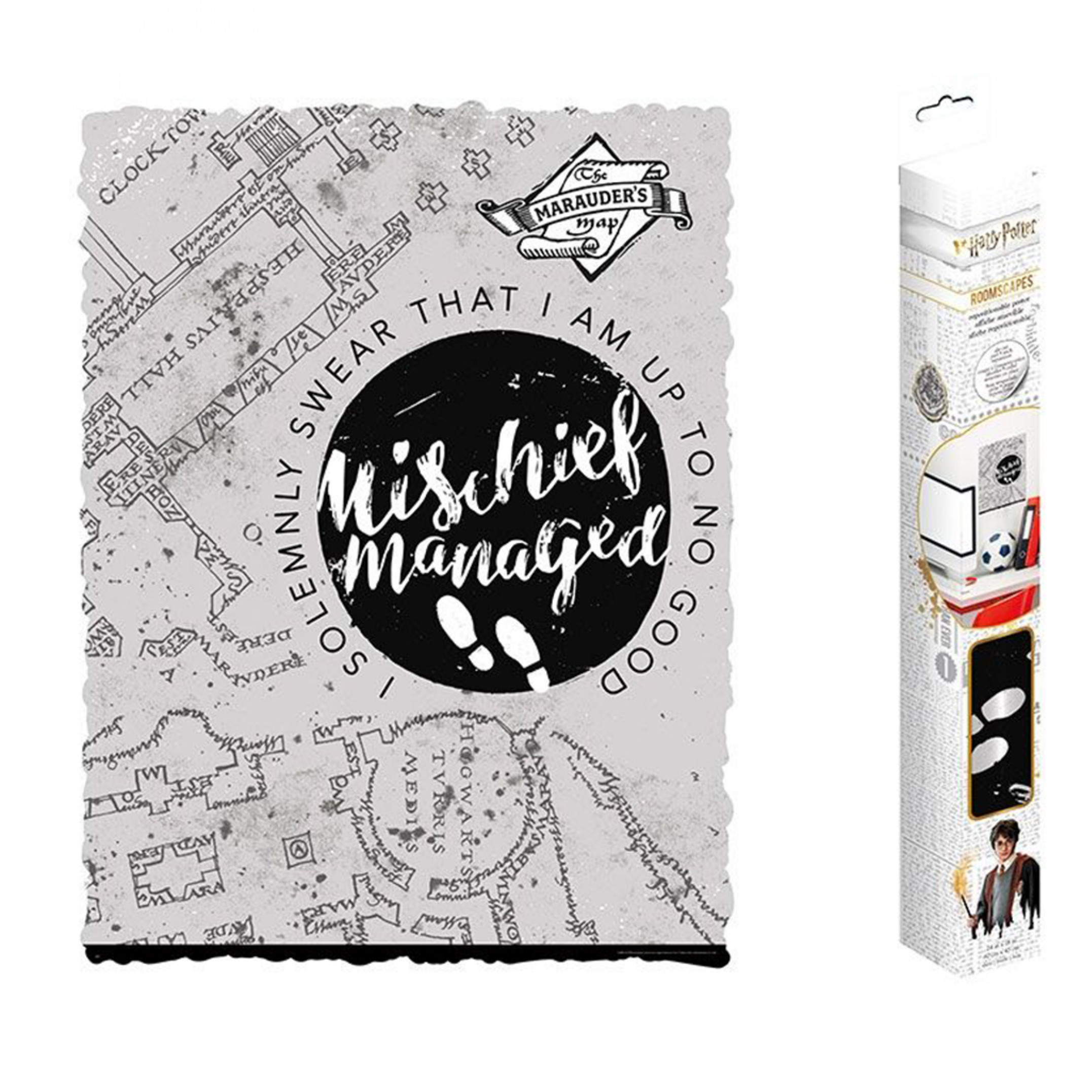 Harry Potter Marauder's Map RoomScapes Wall Decal, Multi-Color