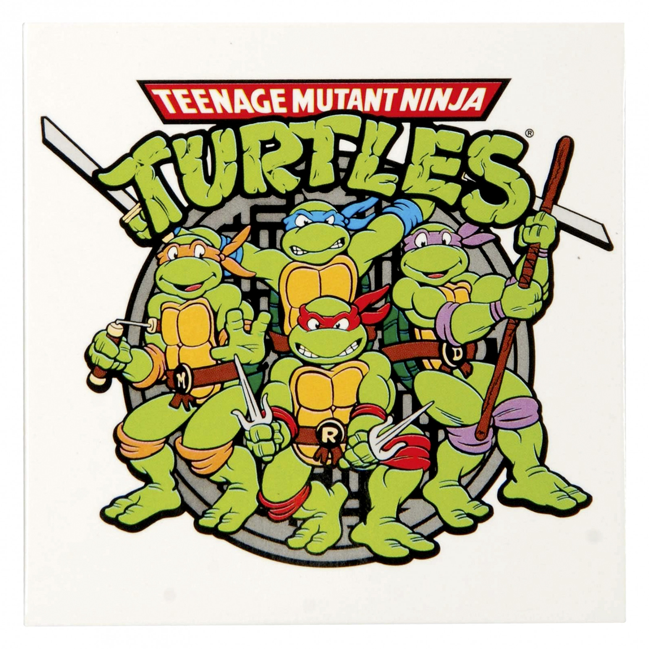 Teenage Mutant Ninja Turtles Group Graphic Magnet, Multi-Color