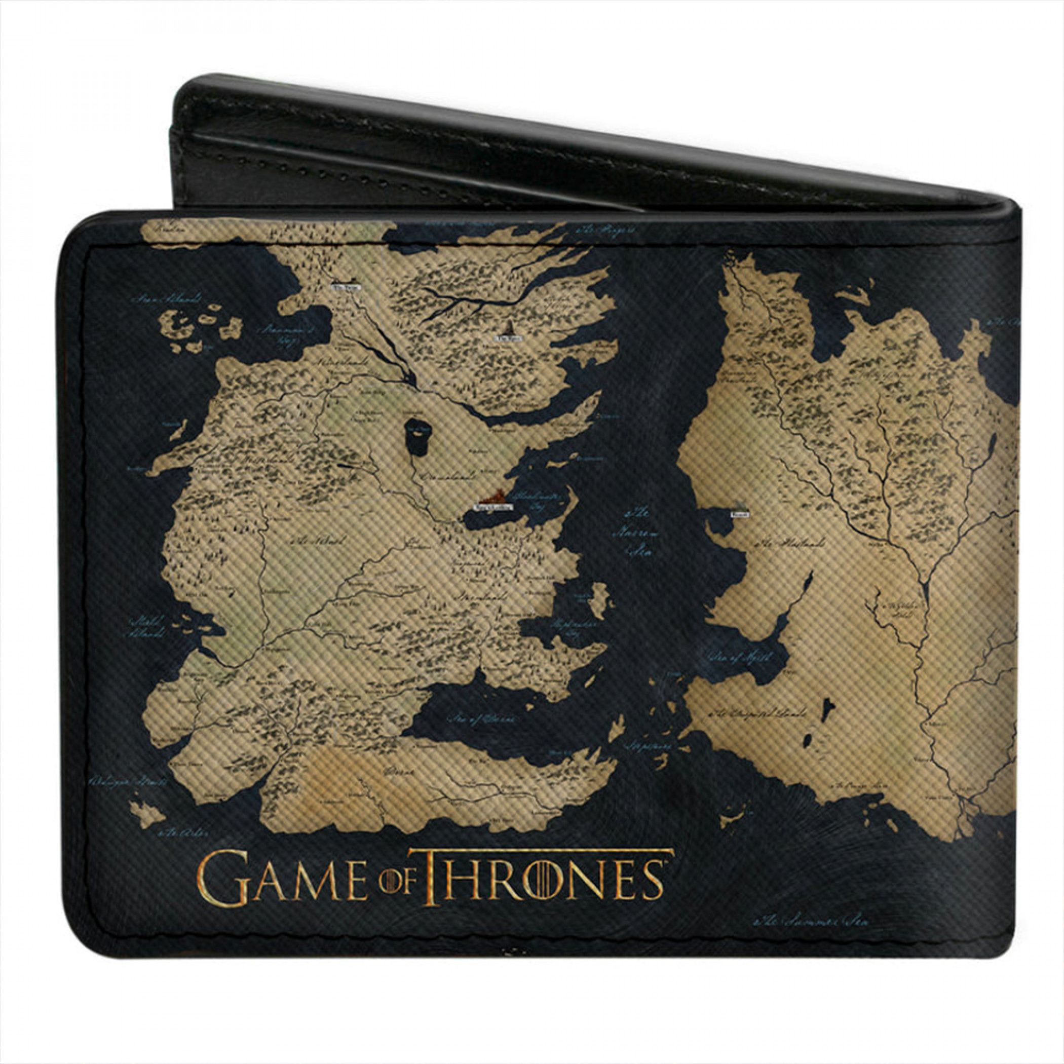Game of Thrones World Map Westeros and Essos Bi-Fold Wallet, Multi-Color