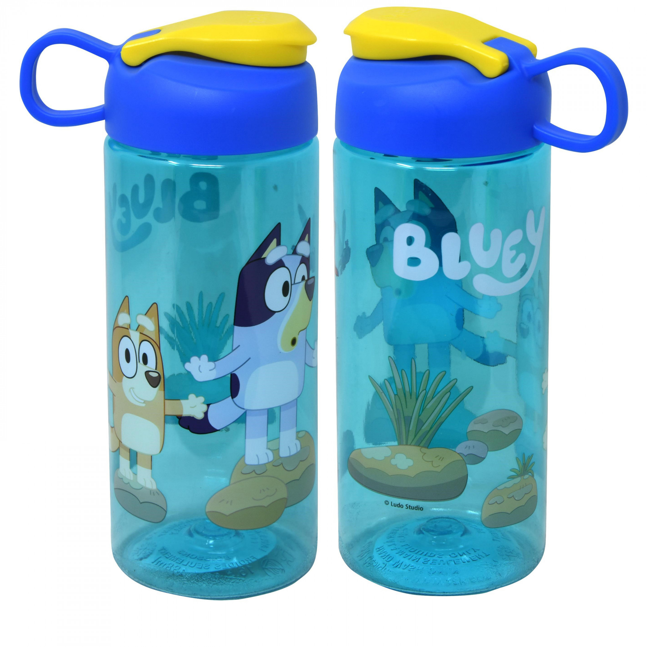 Bluey and Bingo Snap Close 16.5oz Sullivan Bottle, Blue