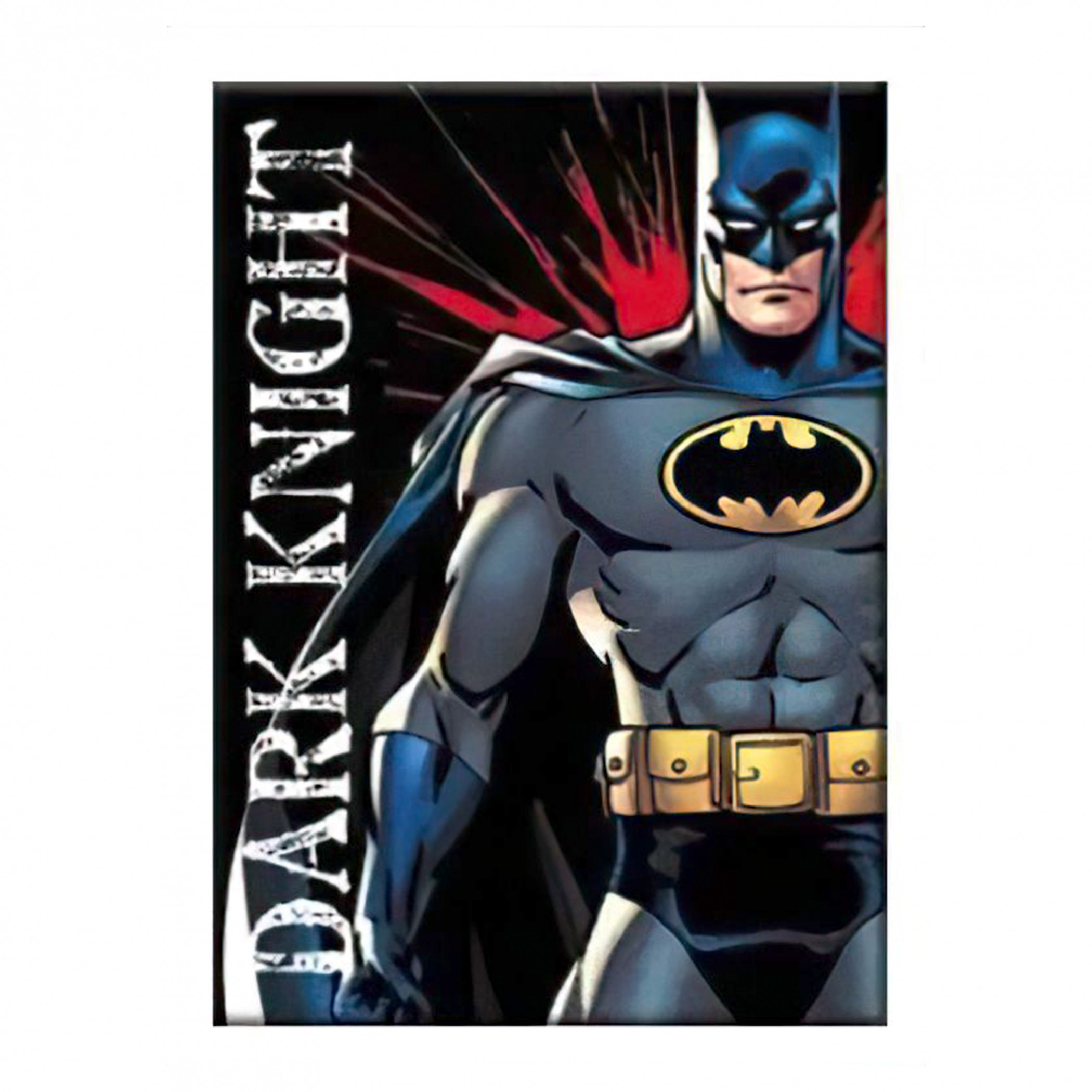 Batman Dark Knight 2.5' x 3.5' Magnet, Multi-Color