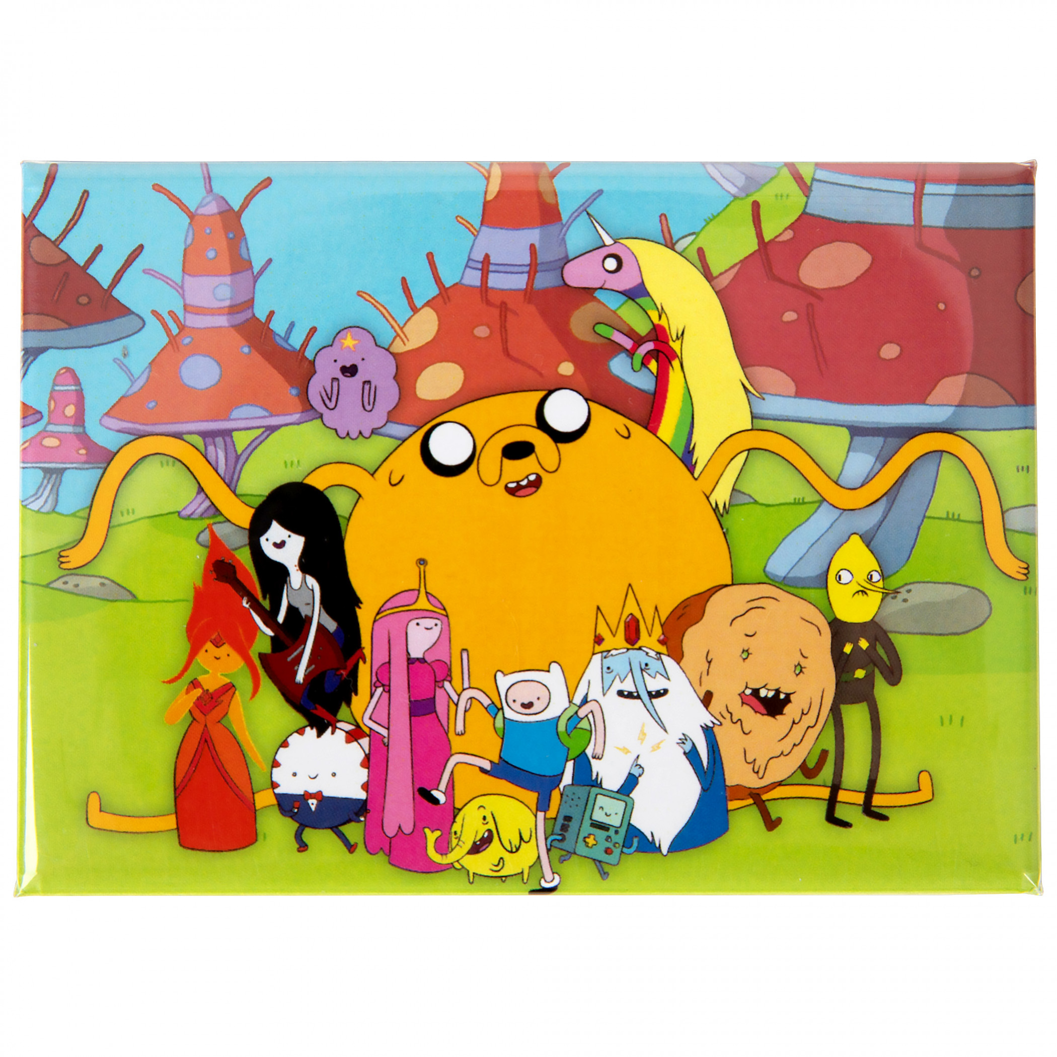 Adventure Time Group Photo Magnet, Multi-Color