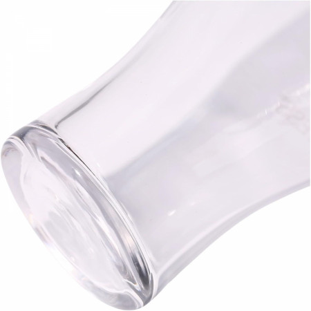 Guinness Logo 2-Pack Tulip Shaped 20oz Pint Glass Set